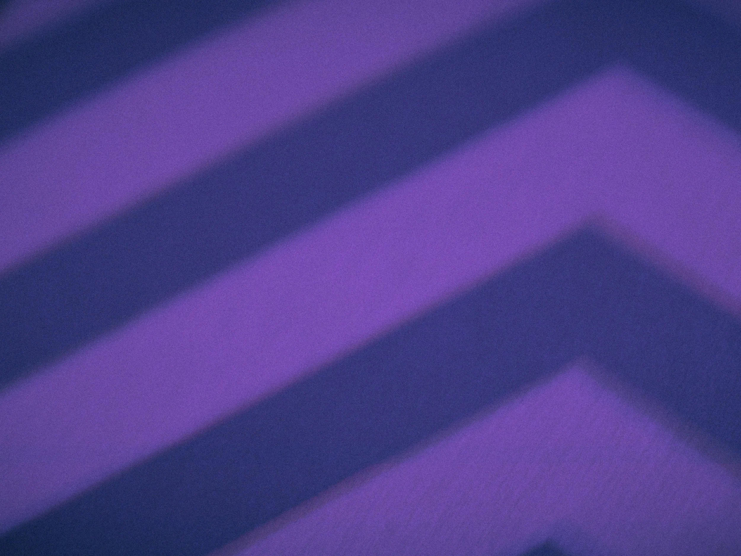 2025_TWIN_PEAKS_PROJECT_Grabs__2.21.2.jpg