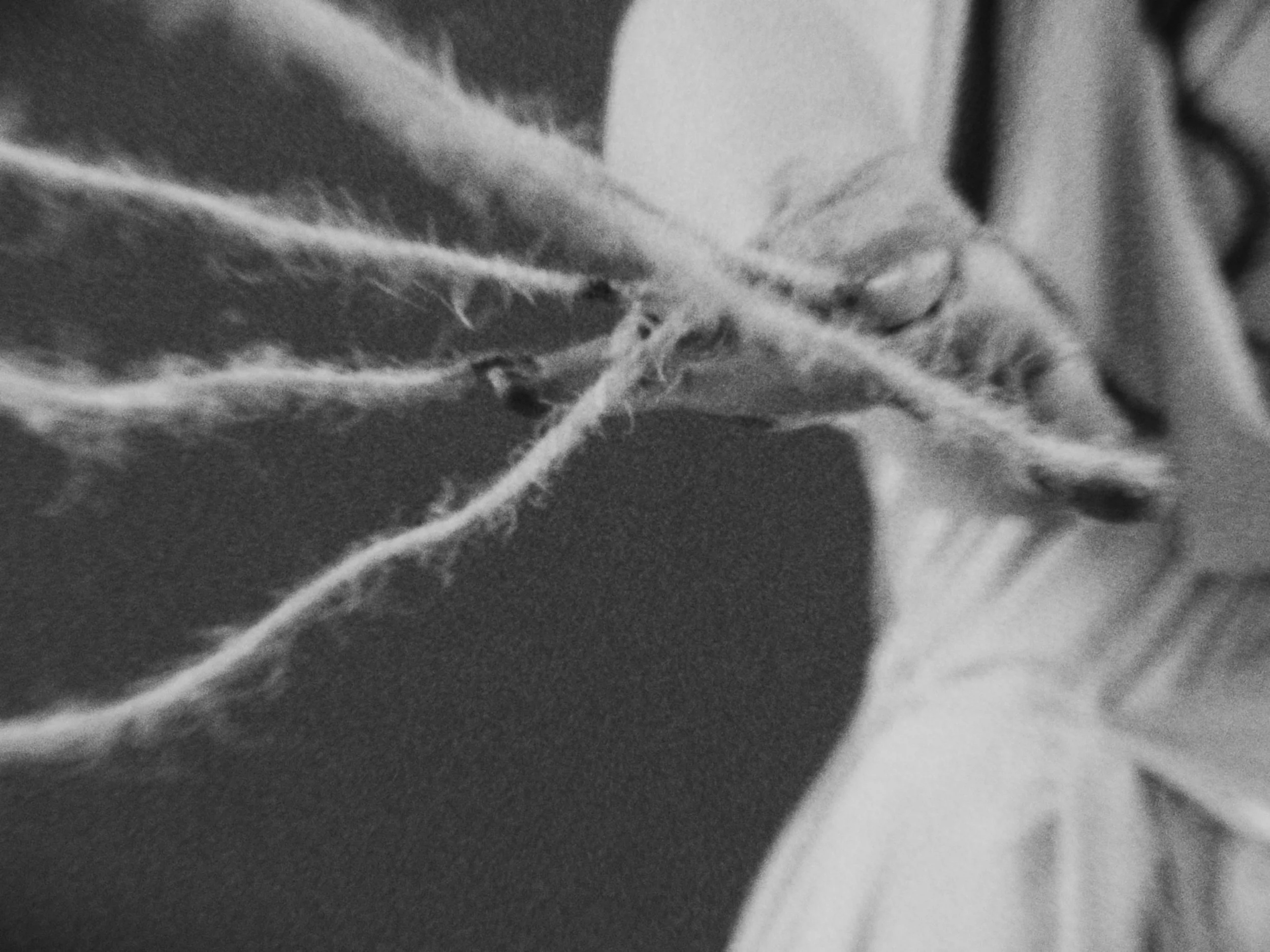 LOUISE_CHARBONNEL_CLIP_STILL_13.jpg