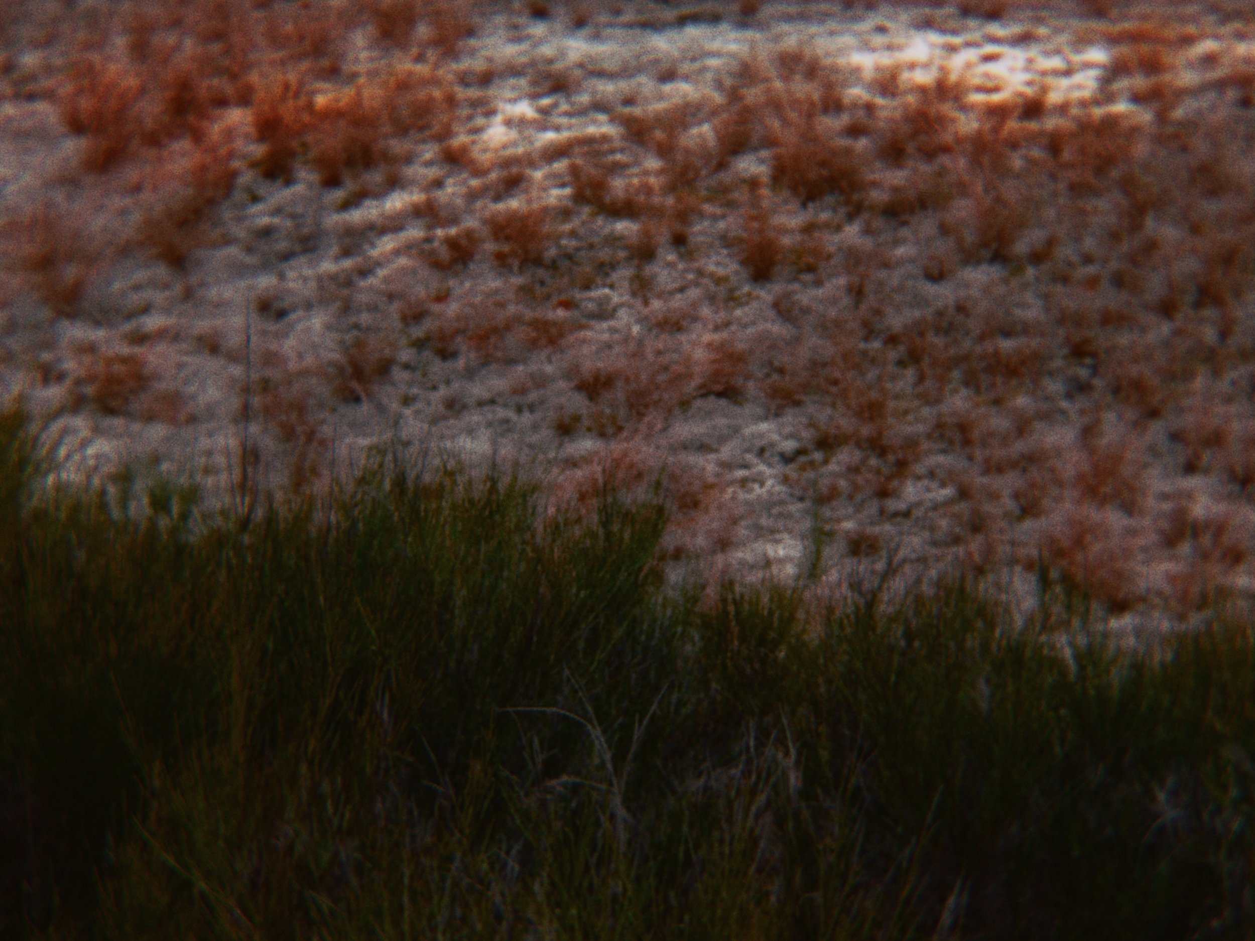 LOUISE_CHARBONNEL_CLIP_STILL_23.jpg