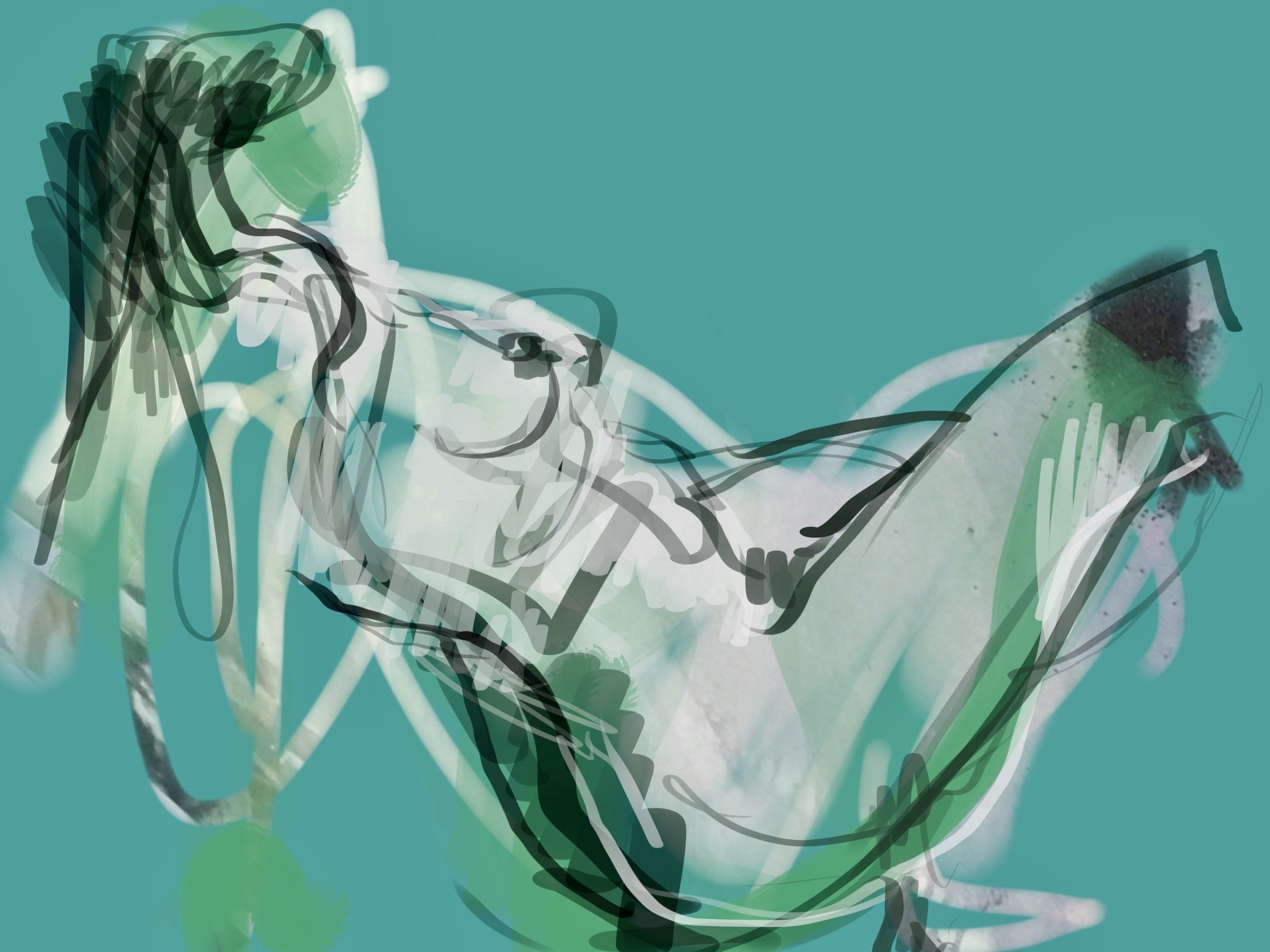 Female Nude