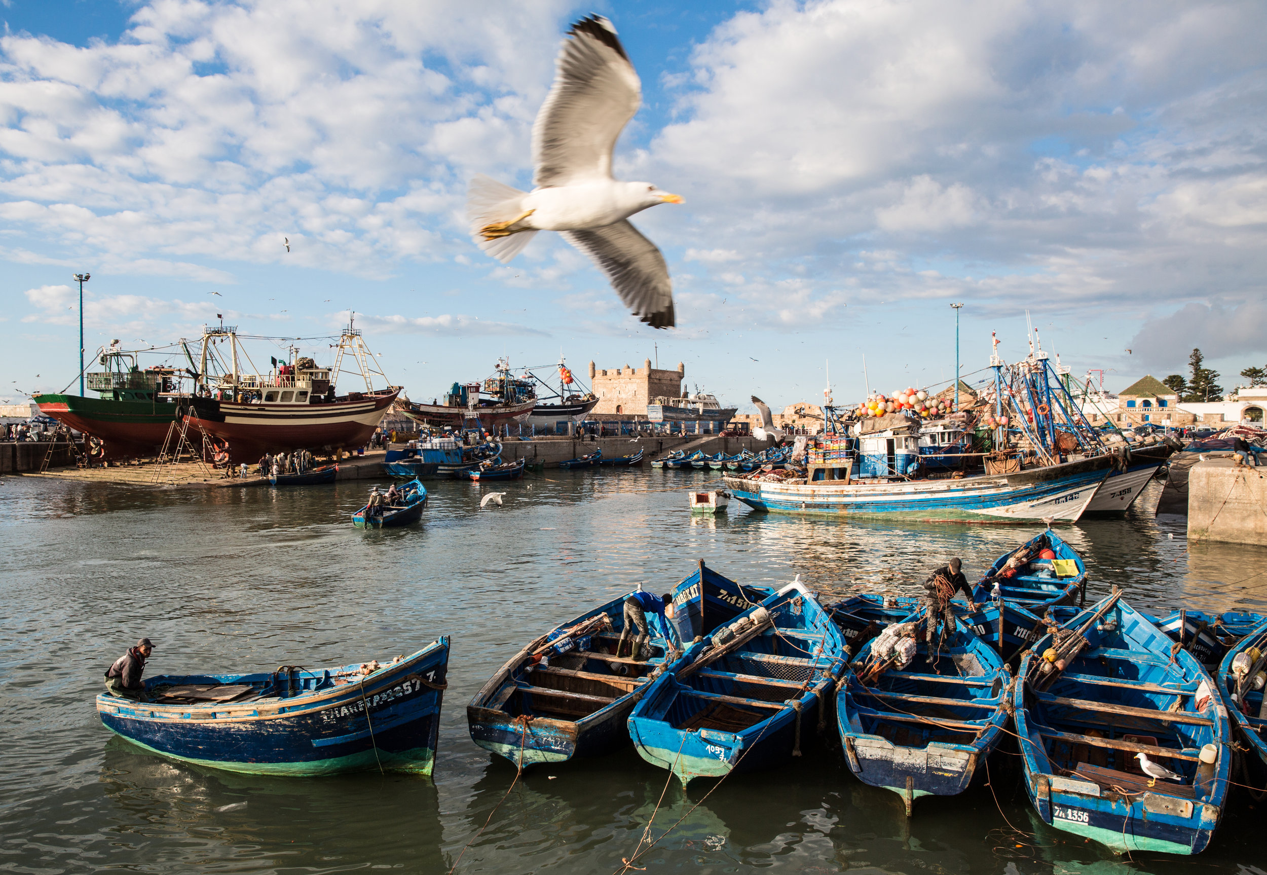 Fishing boats, Essaouira.jpg