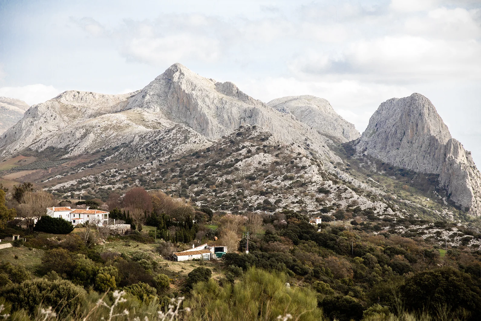 Goat farming, Malaga-2165.jpg