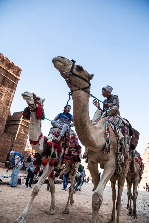 Petra-Jordan-1180.jpg