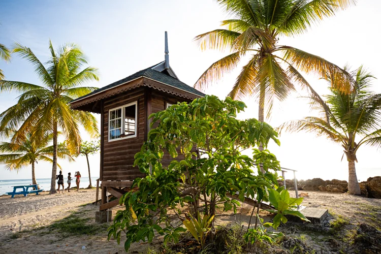 Tobago-4356.jpg