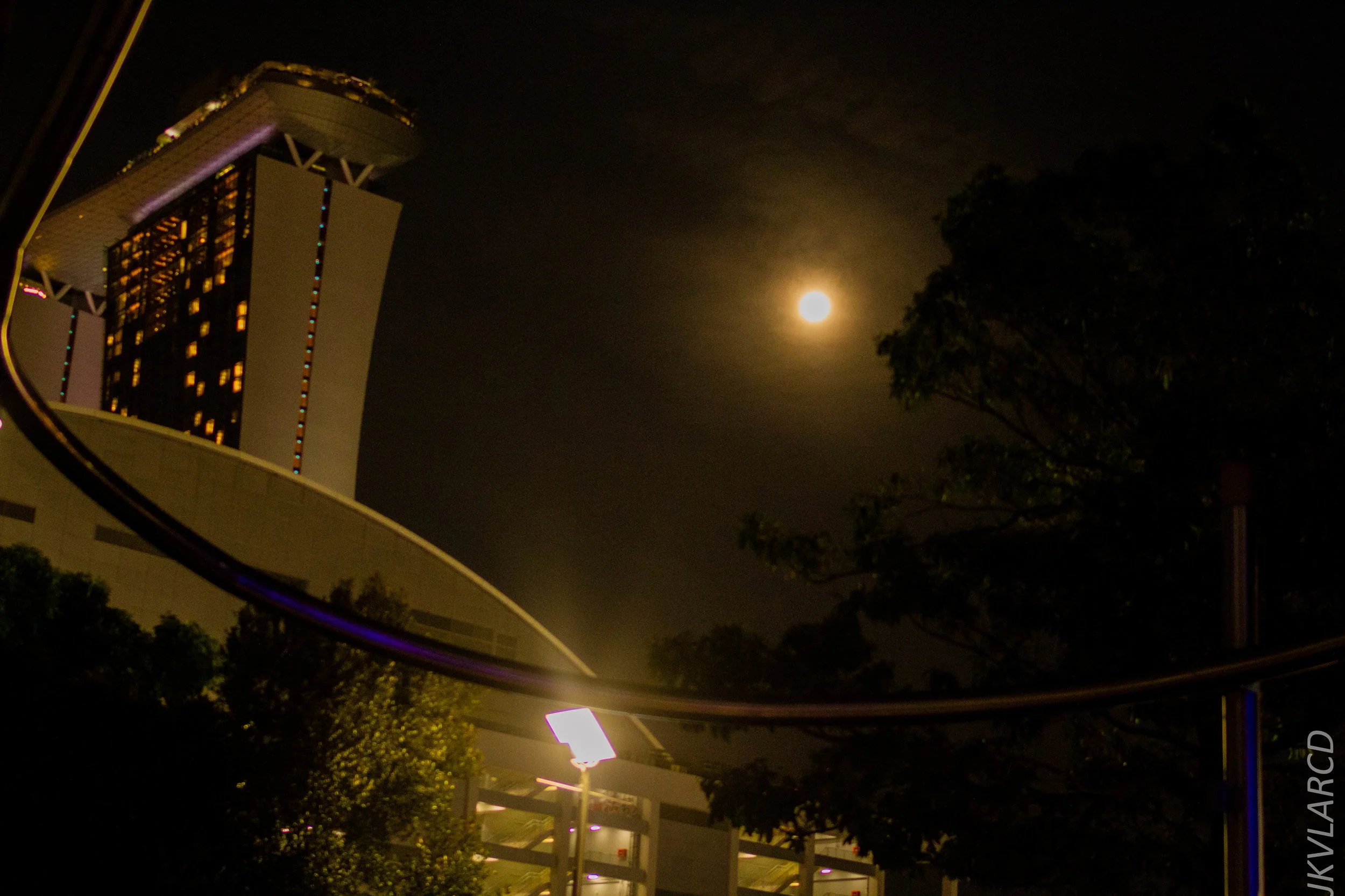 EOS 7D_2017_03_11_7890-2.jpg