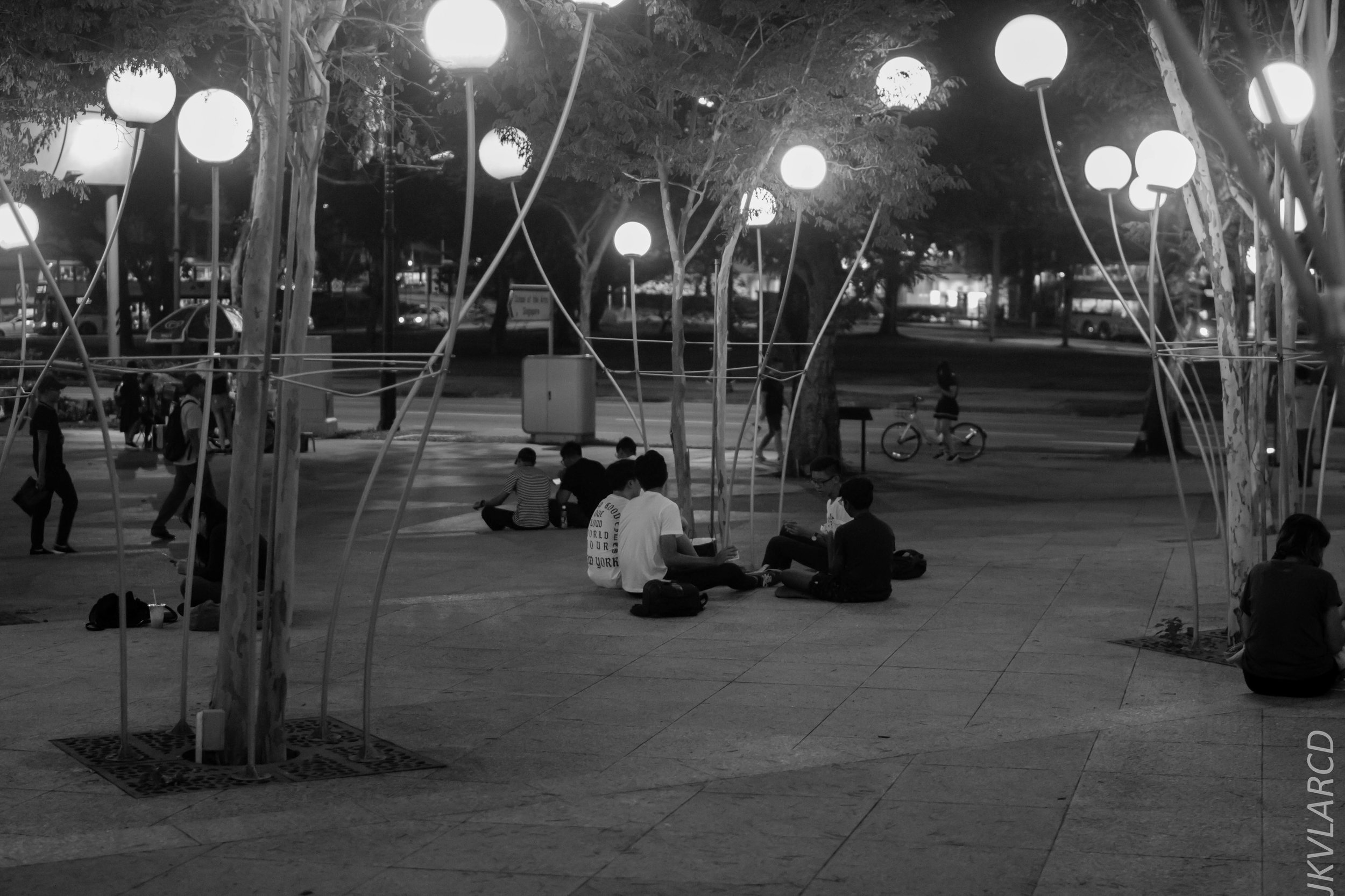 EOS 7D_2017_05_13_0151.jpg