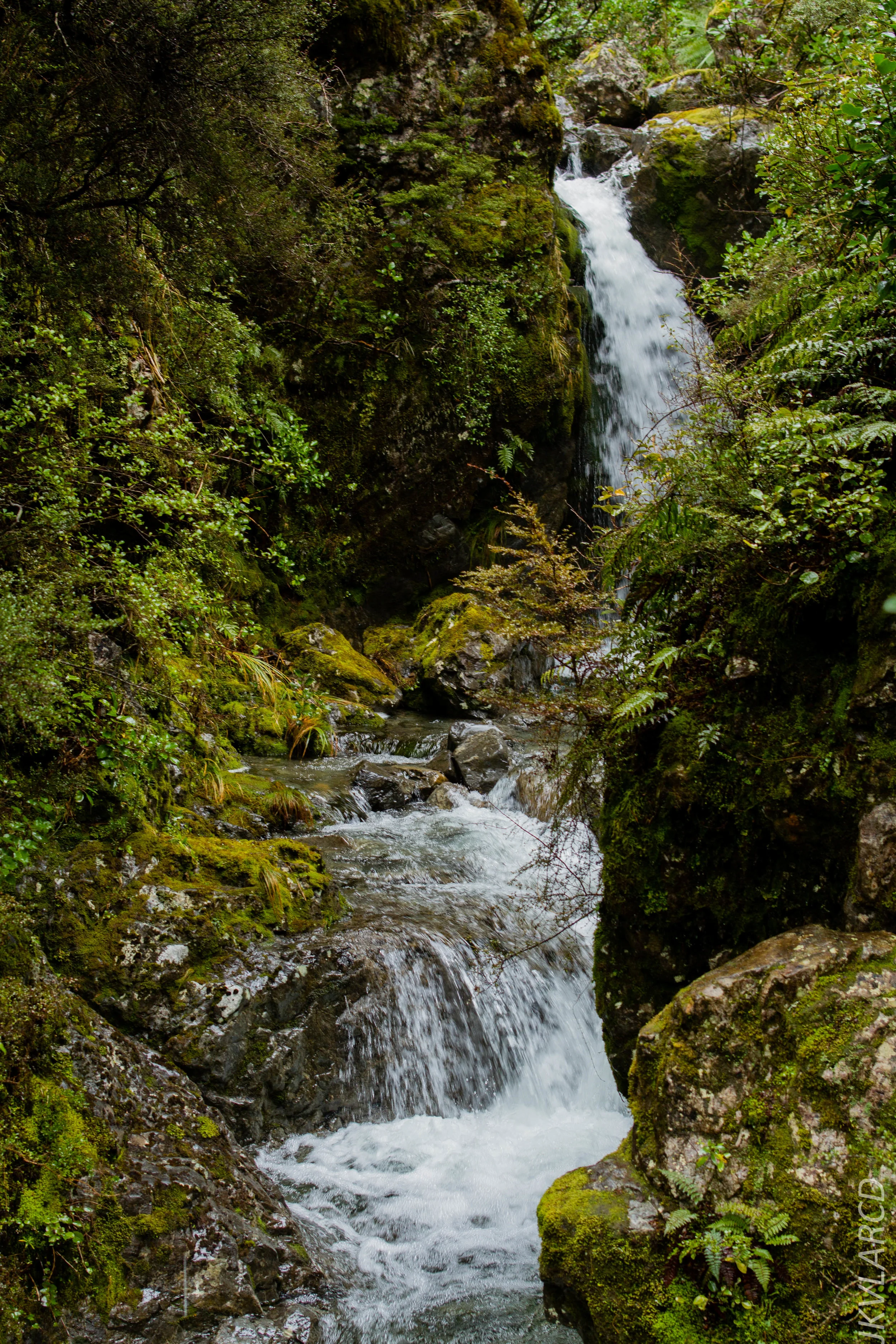 EOS 7D_2017_09_26_1118.jpg