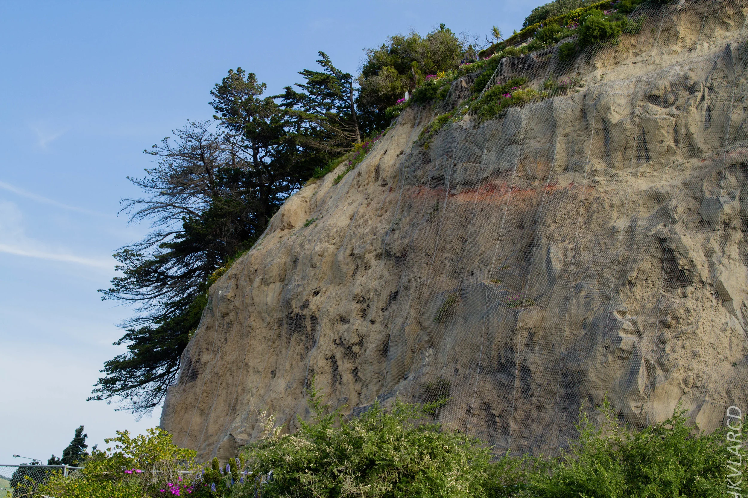 EOS 7D_2017_10_05_2339.jpg