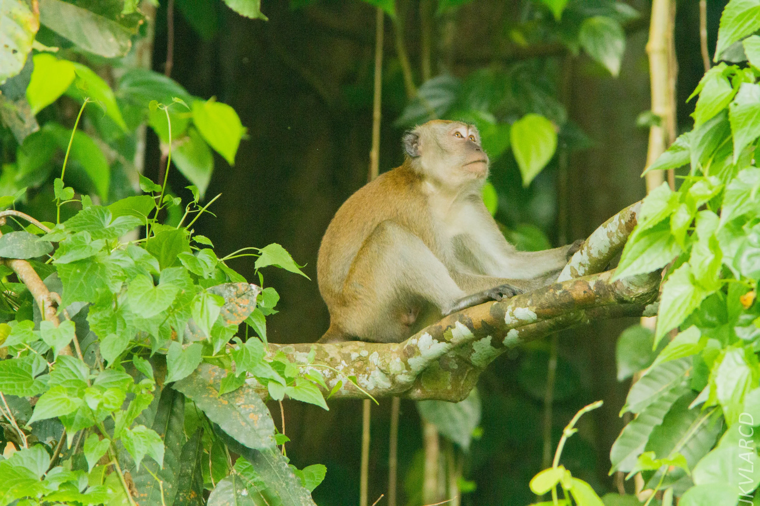 EOS 7D_2017_10_22_2500.jpg