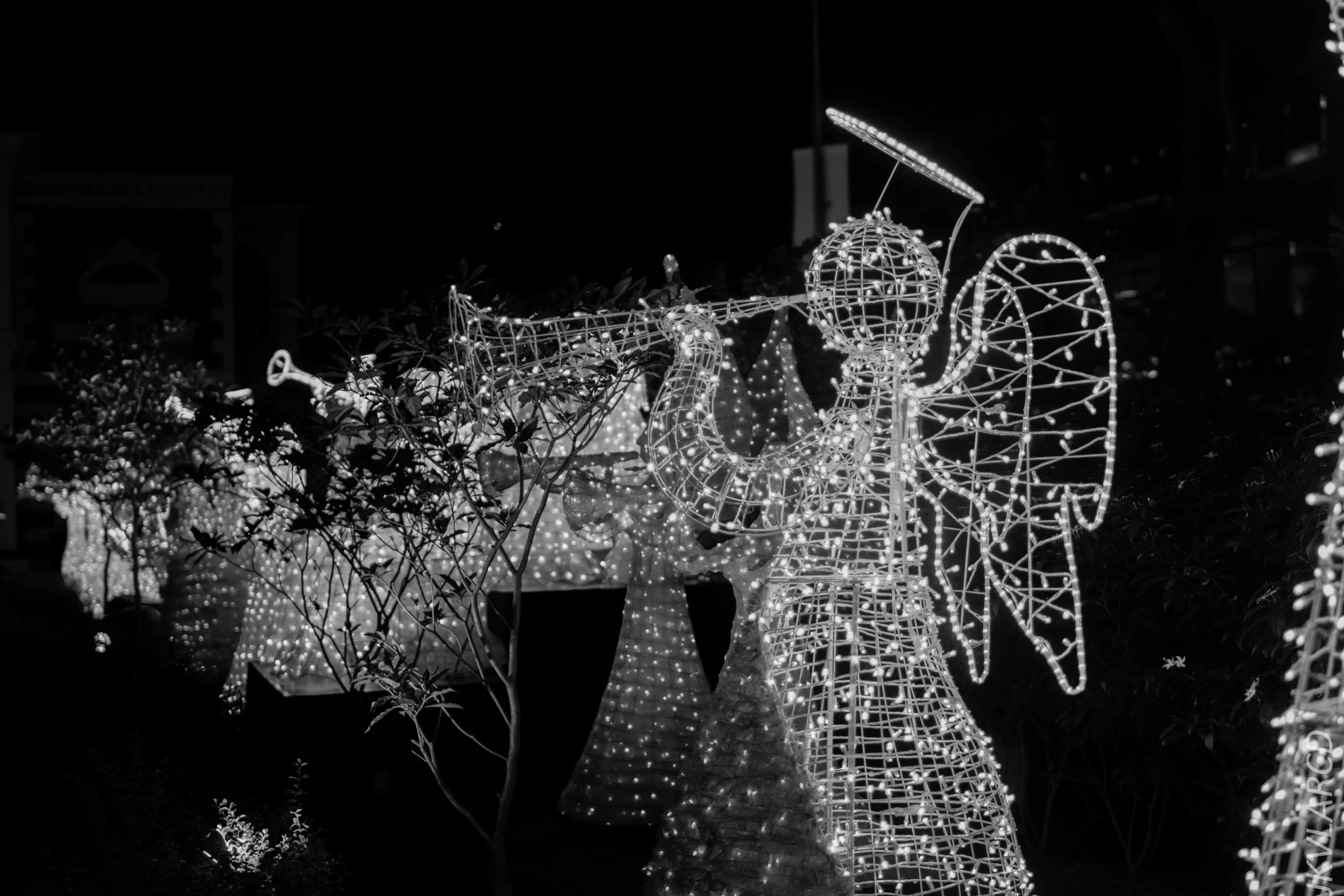 EOS 7D Mark II_2017_12_09_2860.jpg