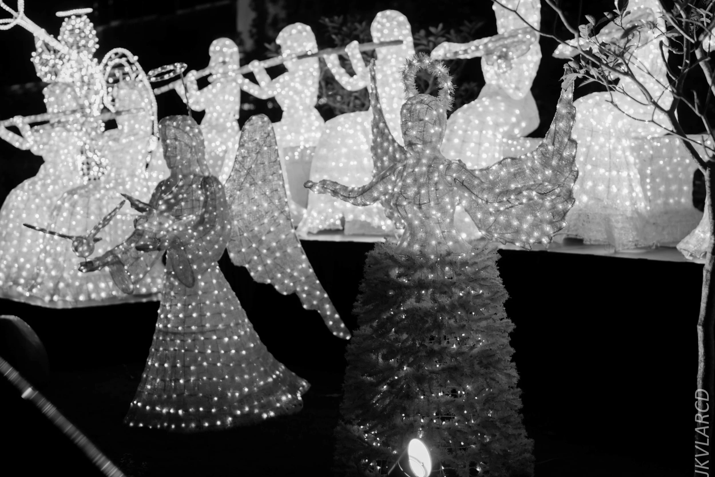 EOS 7D Mark II_2017_12_09_2864.jpg