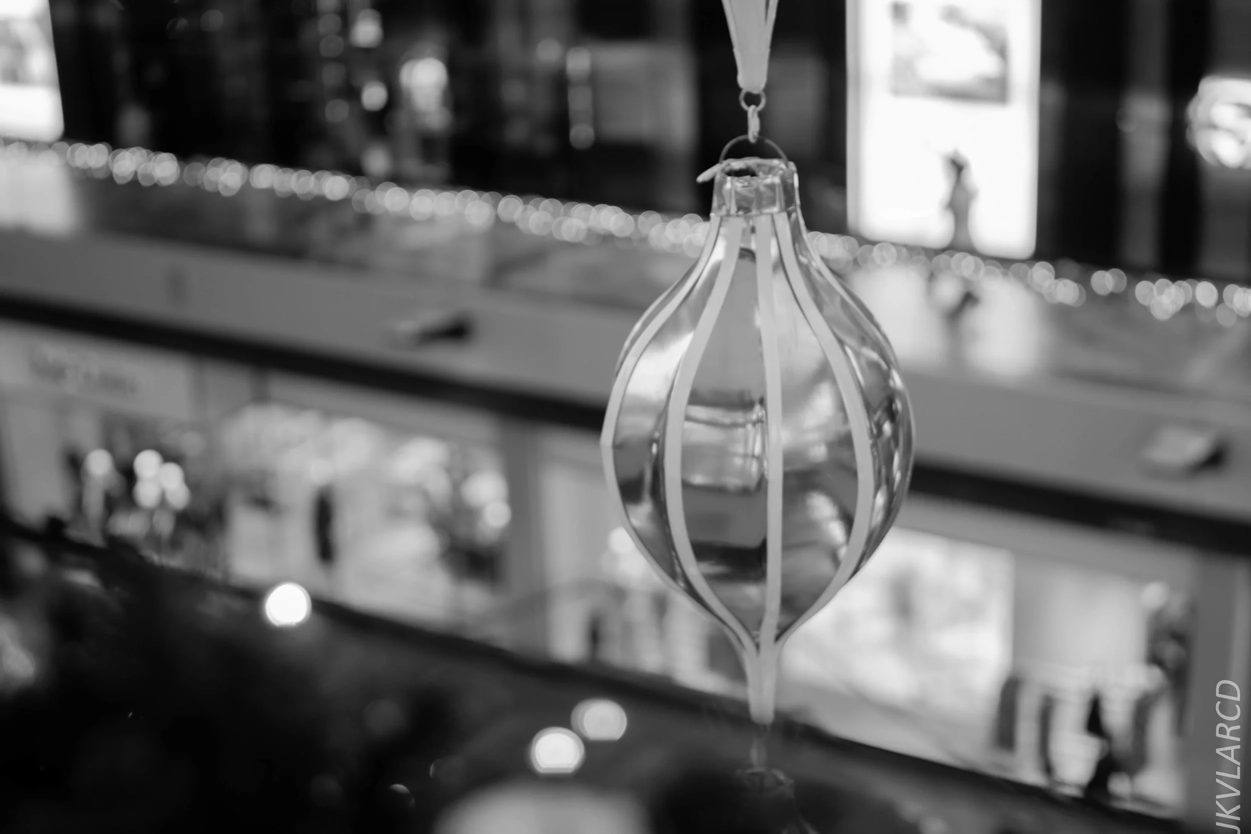 EOS 7D Mark II_2017_12_15_2934.jpg
