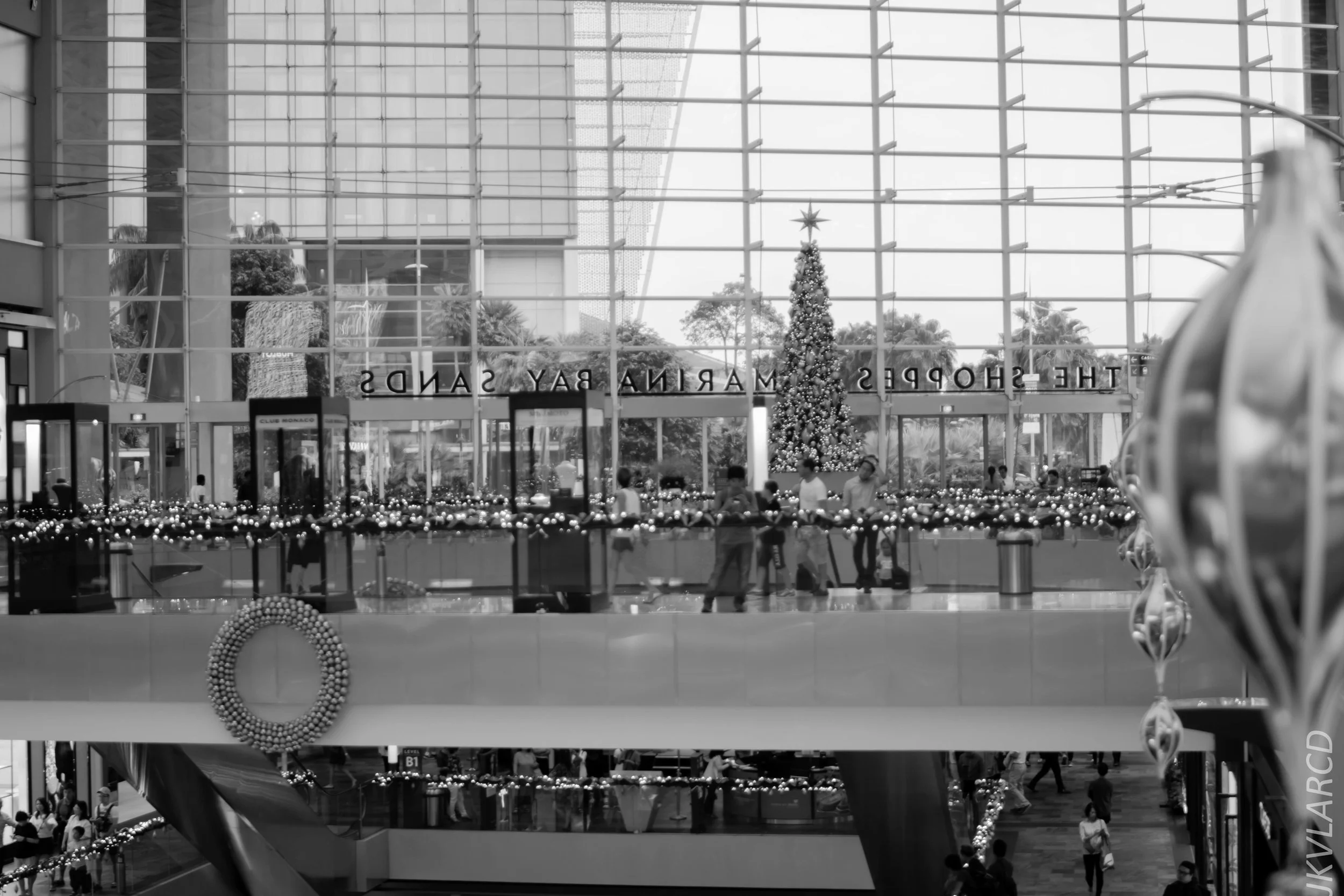 EOS 7D Mark II_2017_12_15_2933.jpg