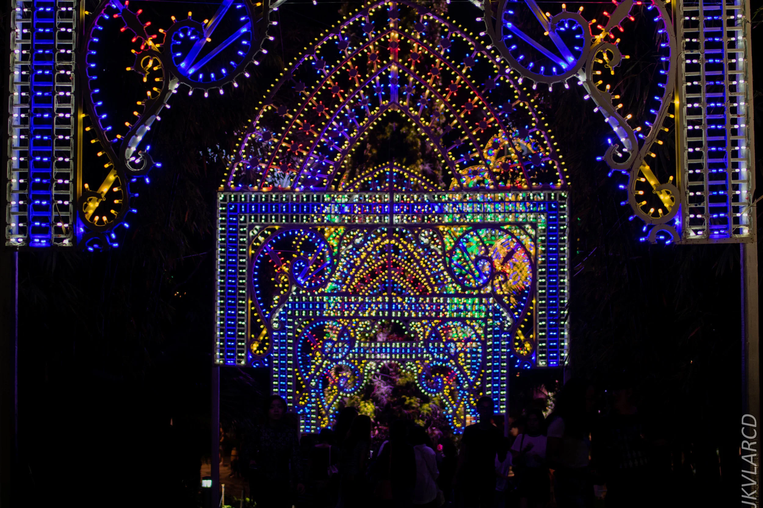 EOS 7D Mark II_2017_12_15_2953.jpg