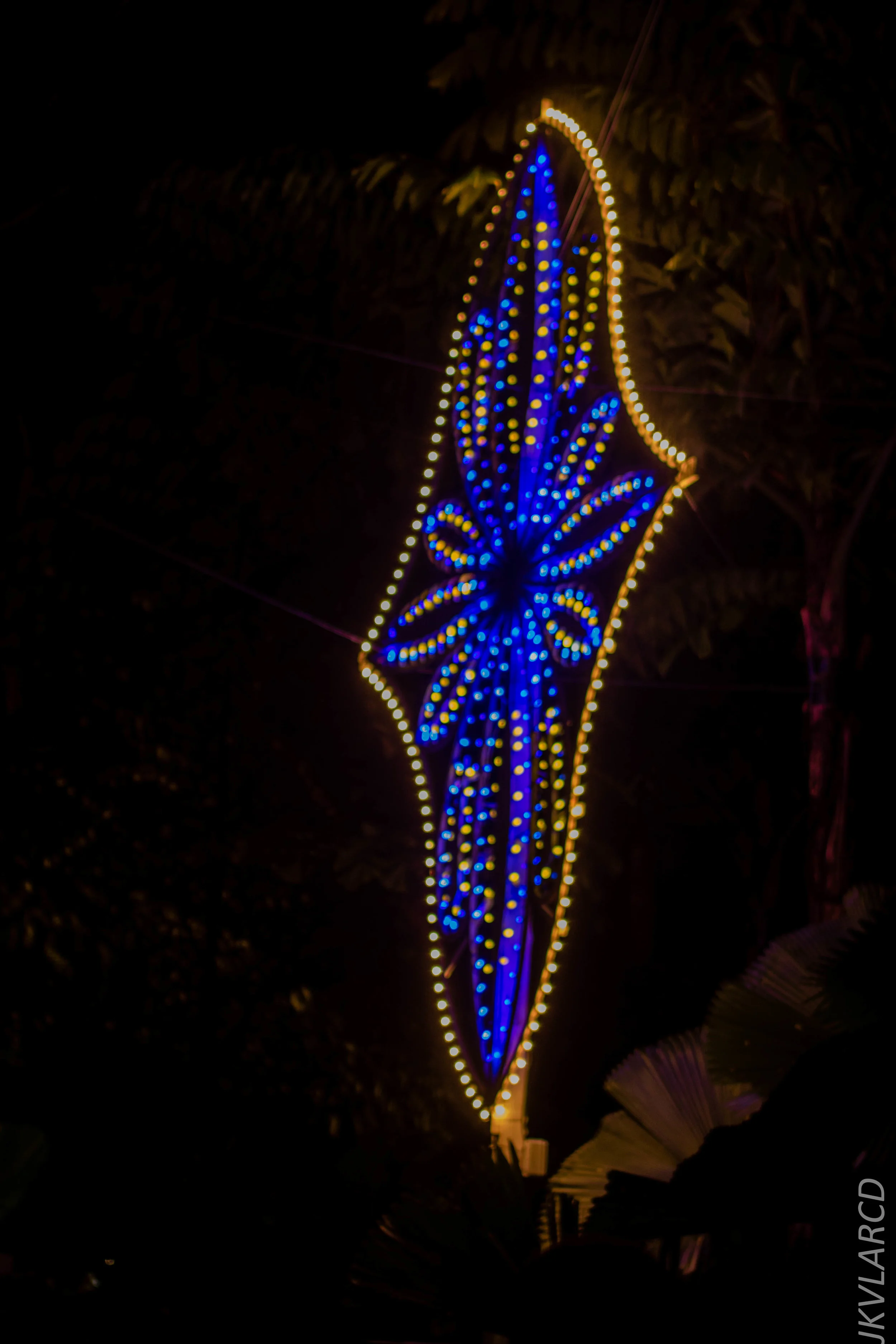 EOS 7D Mark II_2017_12_15_2997.jpg