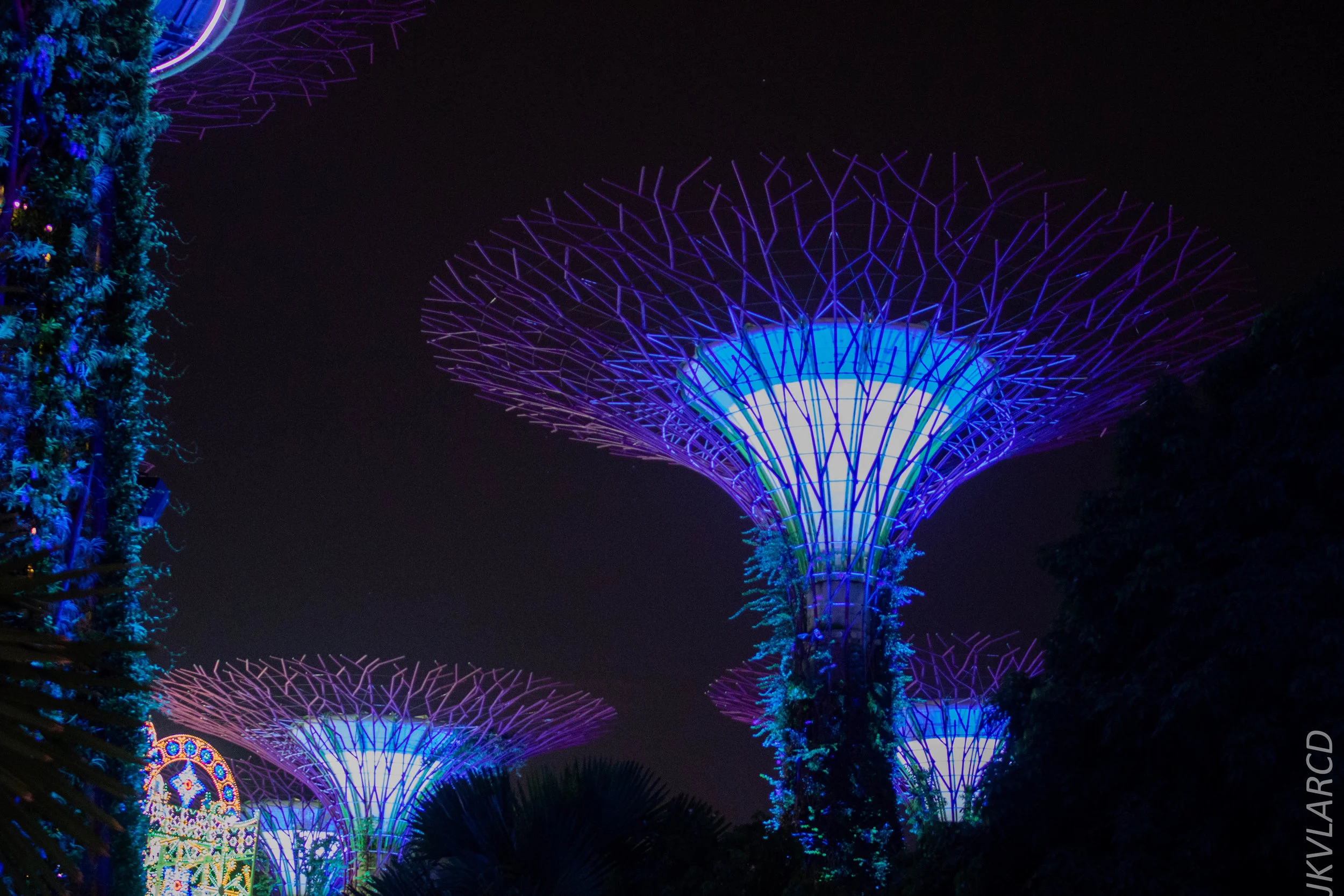 EOS 7D Mark II_2017_12_15_3002.jpg