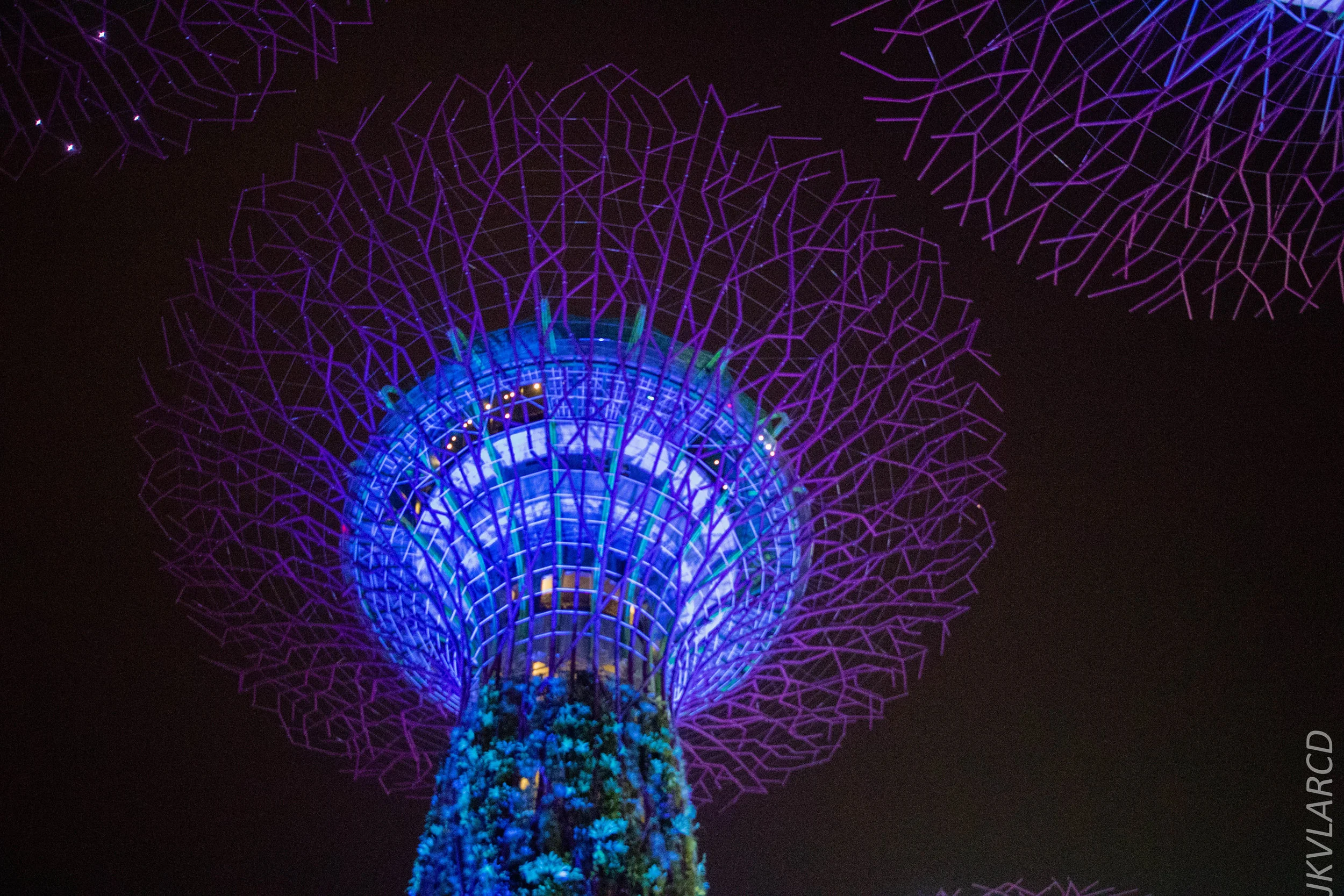 EOS 7D Mark II_2017_12_15_3006.jpg