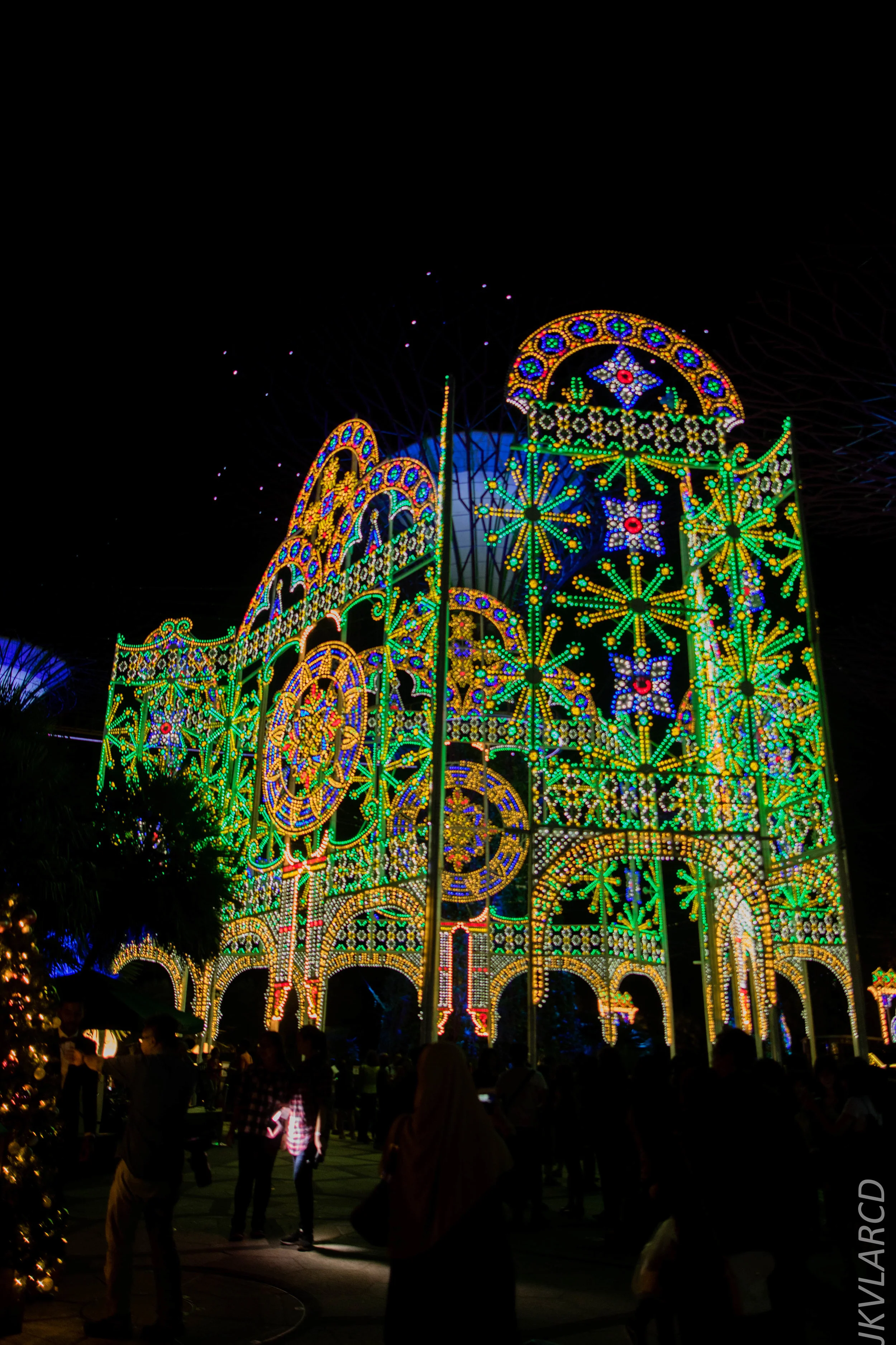 EOS 7D Mark II_2017_12_15_3011.jpg