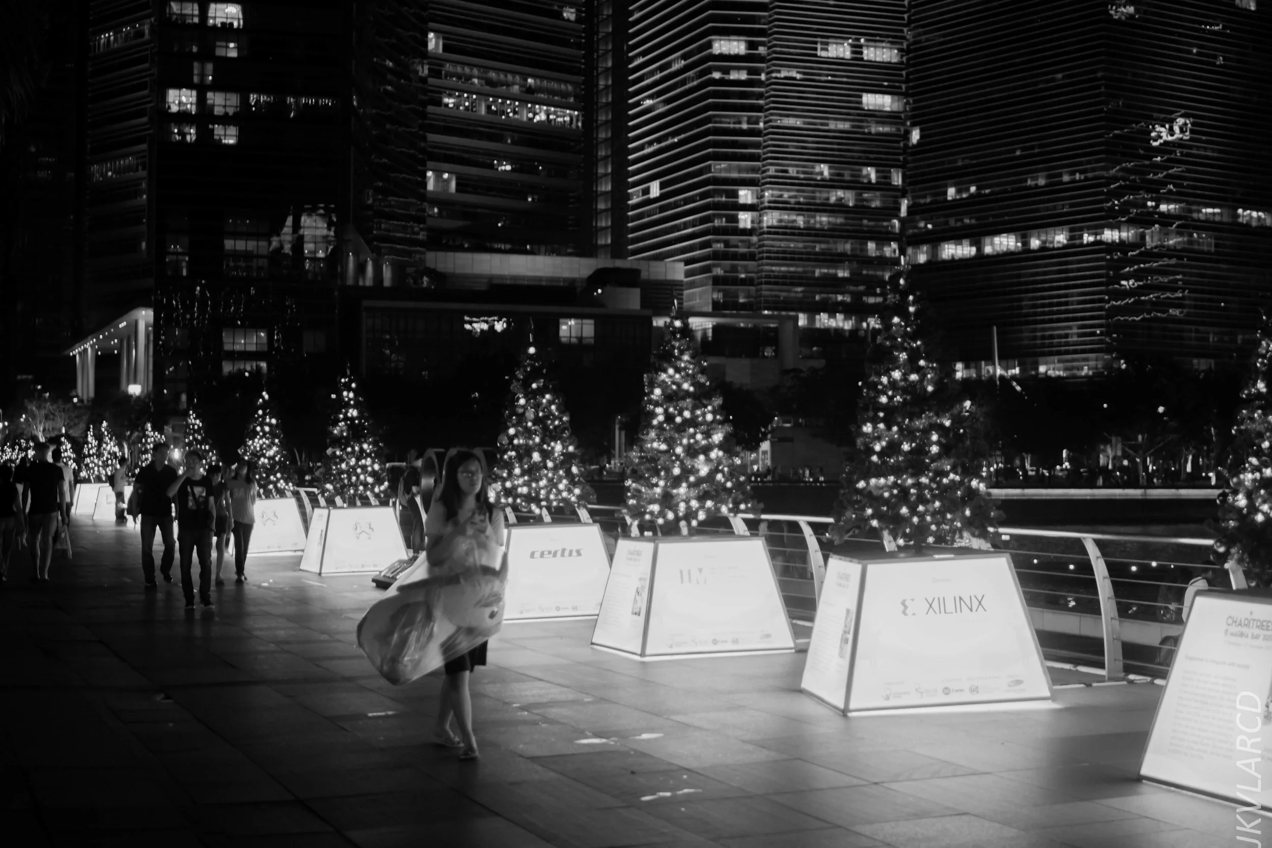 EOS 7D Mark II_2017_12_16_3076.jpg