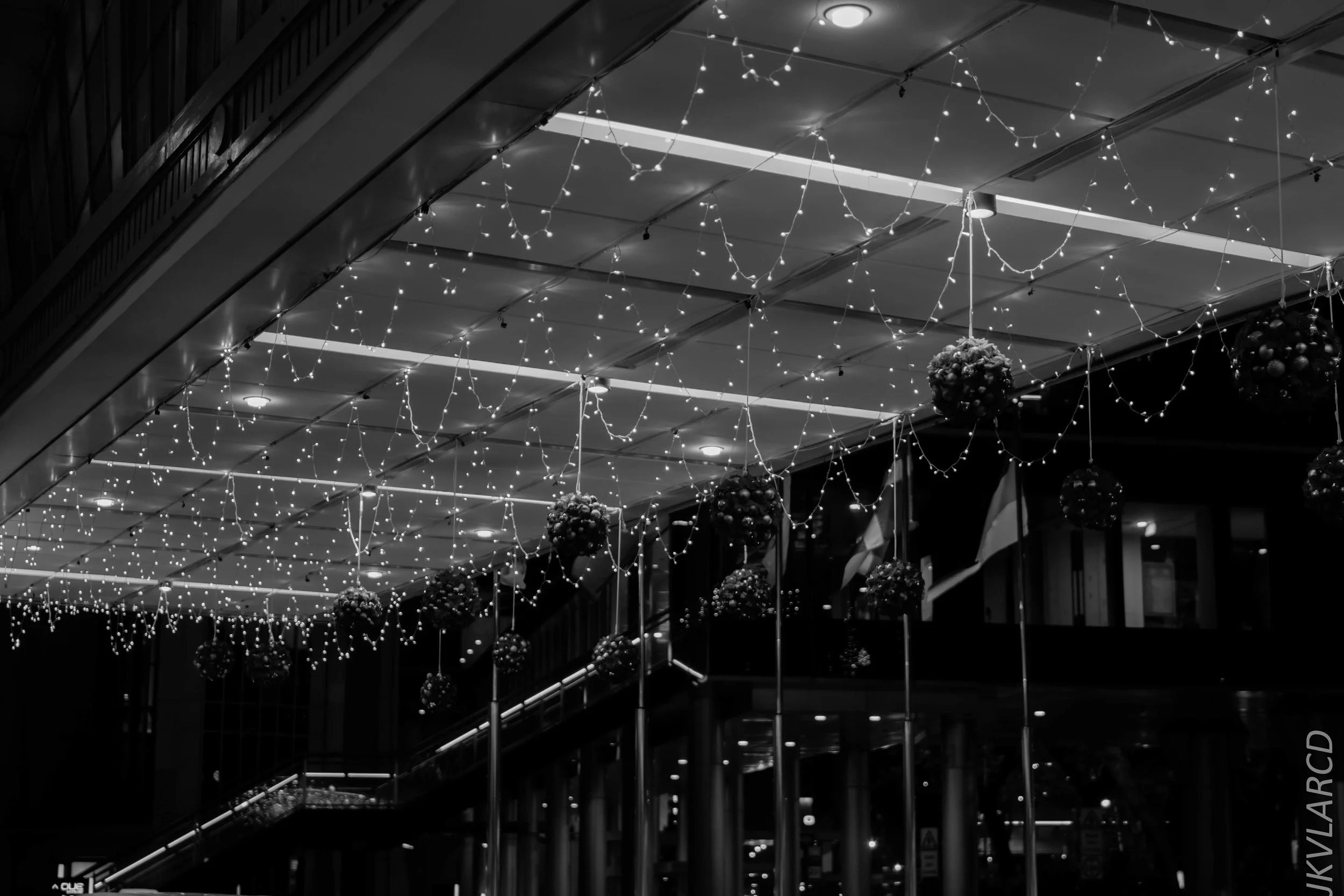 EOS 7D Mark II_2017_12_16_3111.jpg