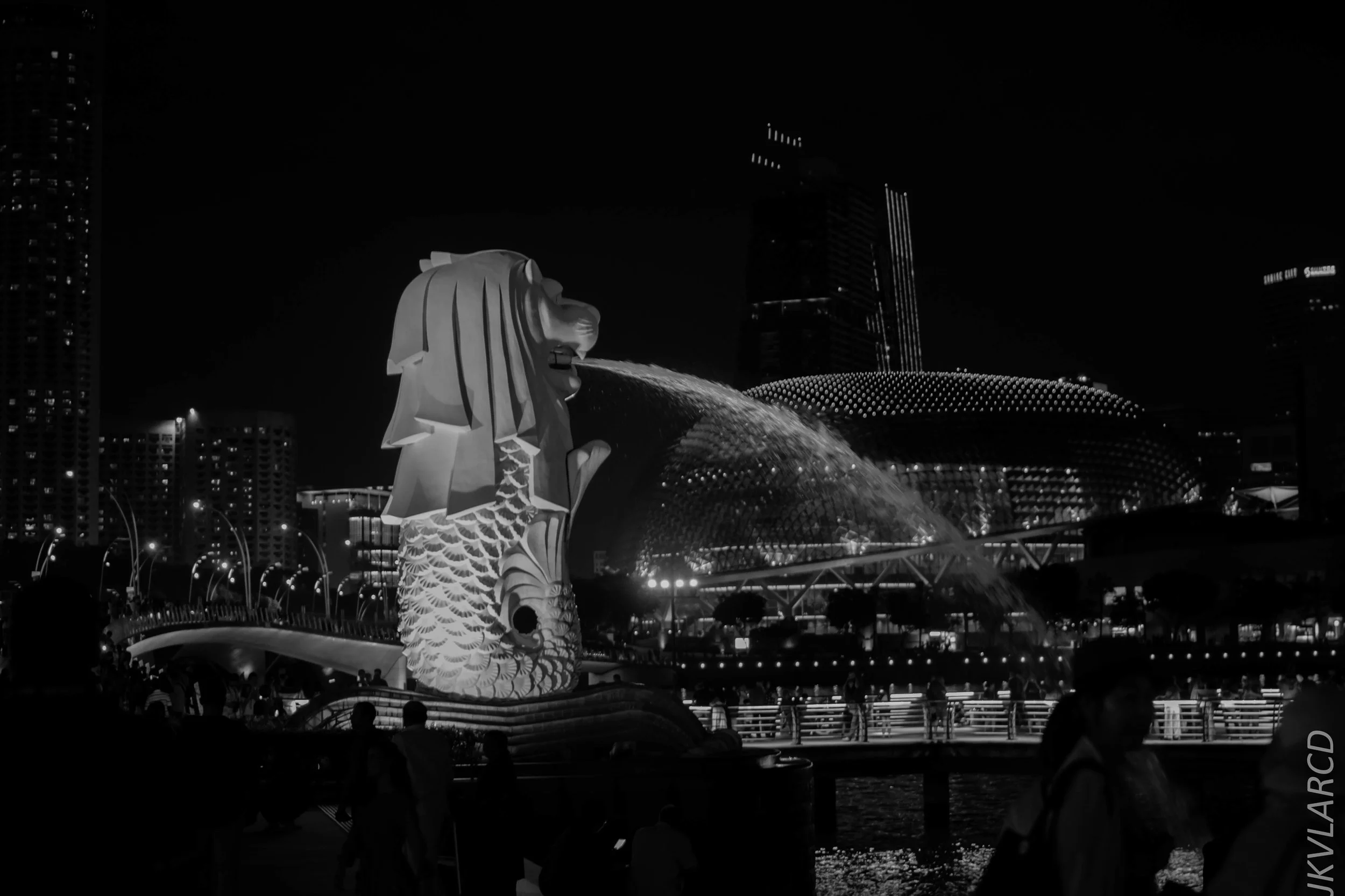 EOS 7D Mark II_2017_12_16_3125.jpg