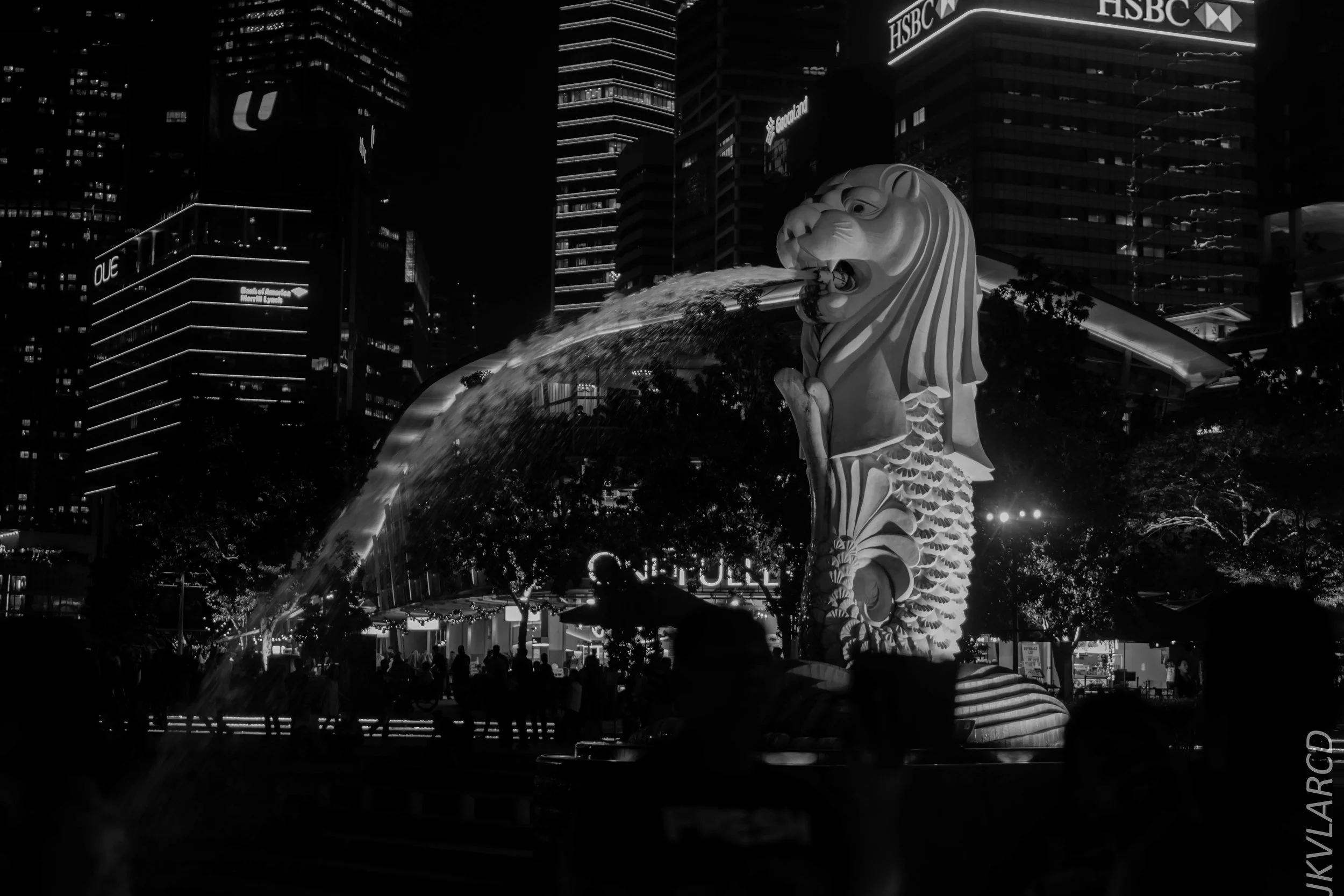 EOS 7D Mark II_2017_12_16_3129.jpg