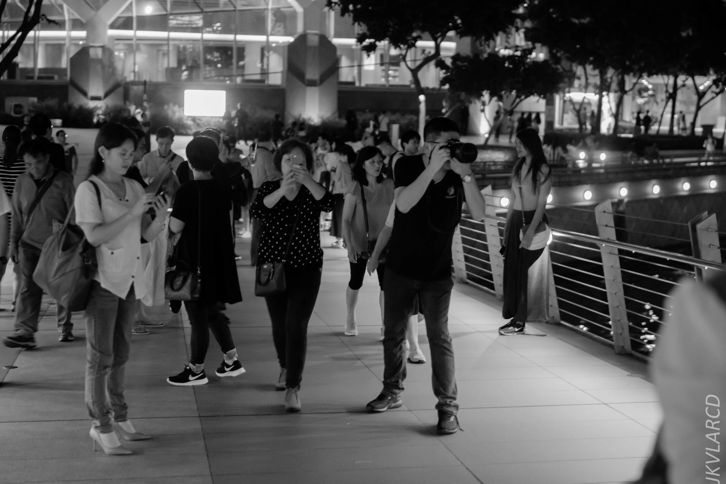 EOS 7D Mark II_2017_12_16_3148.jpg