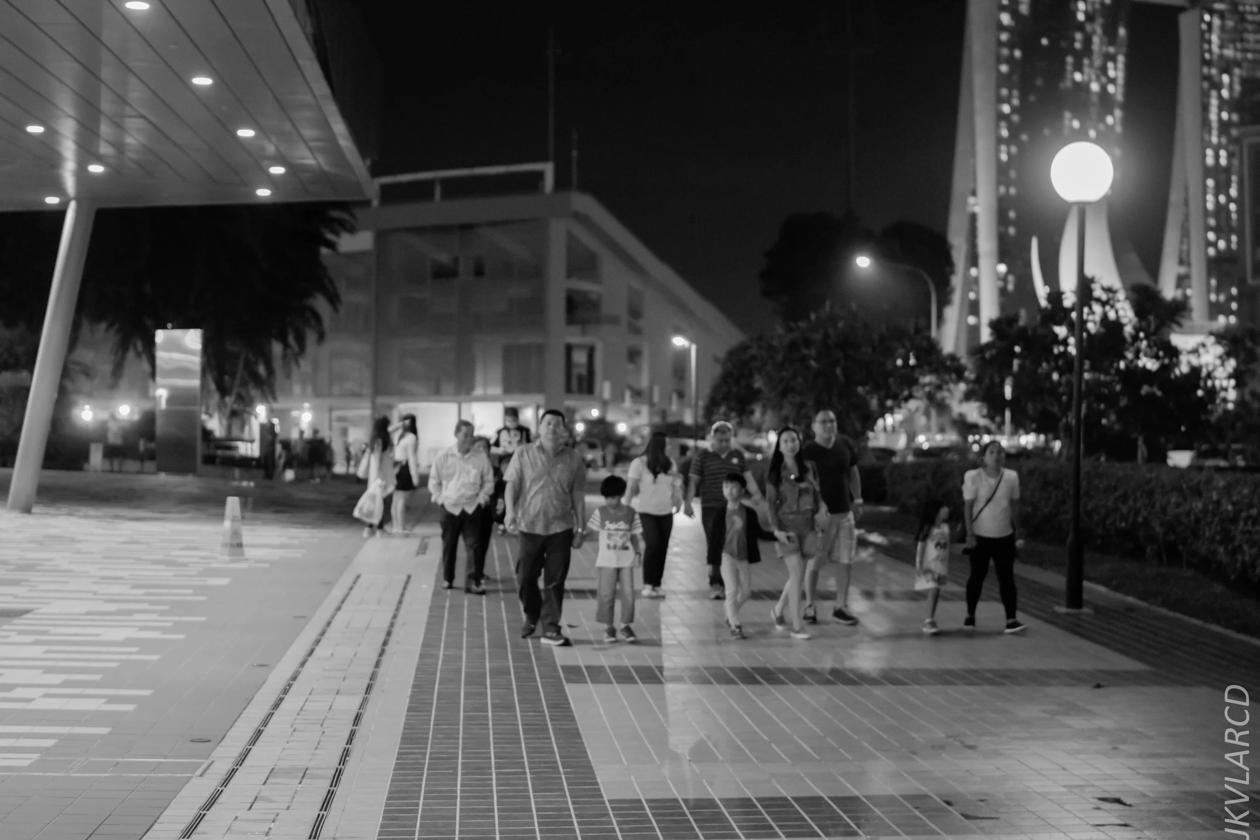 EOS 7D Mark II_2017_12_16_3176.jpg