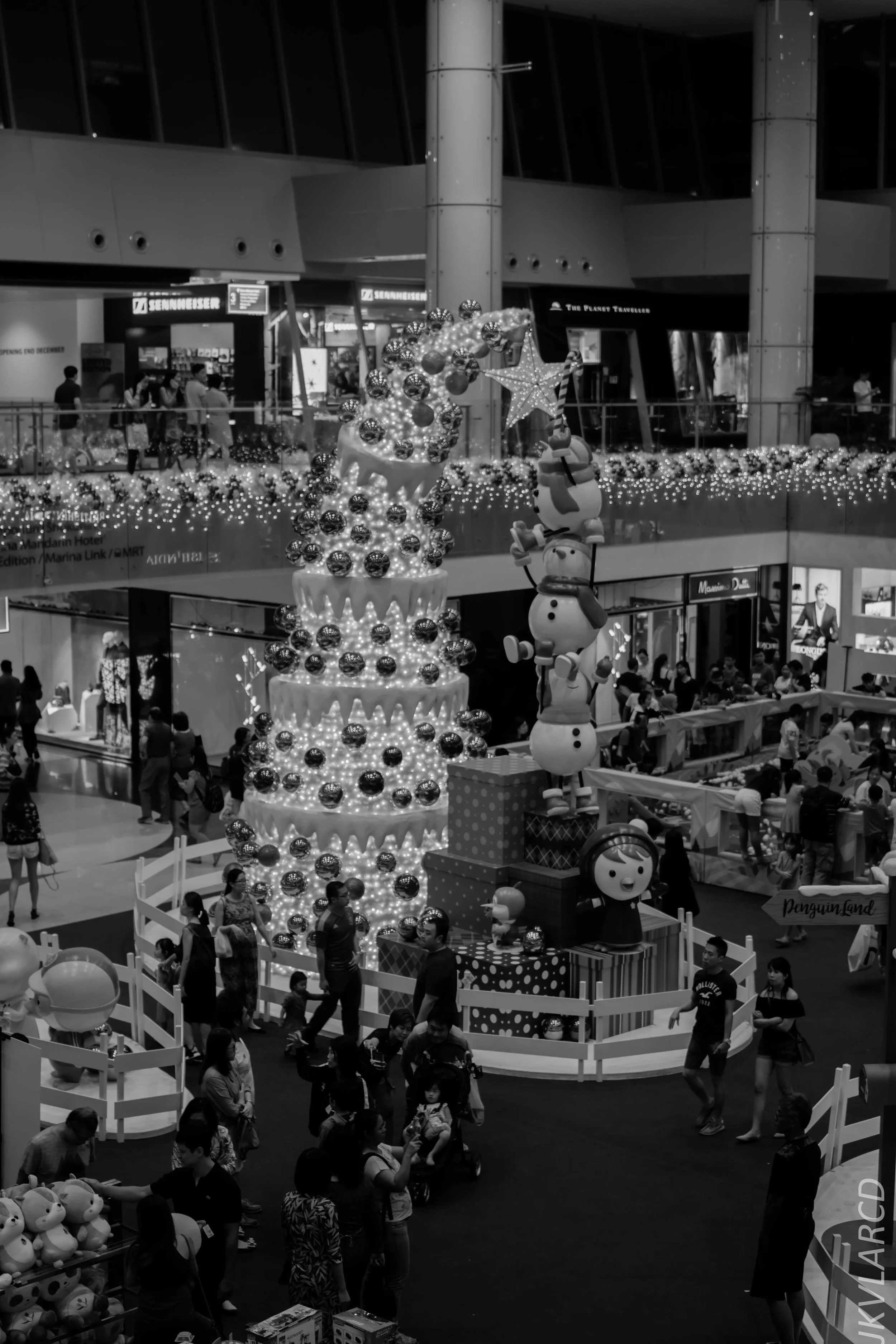 EOS 7D Mark II_2017_12_16_3181.jpg