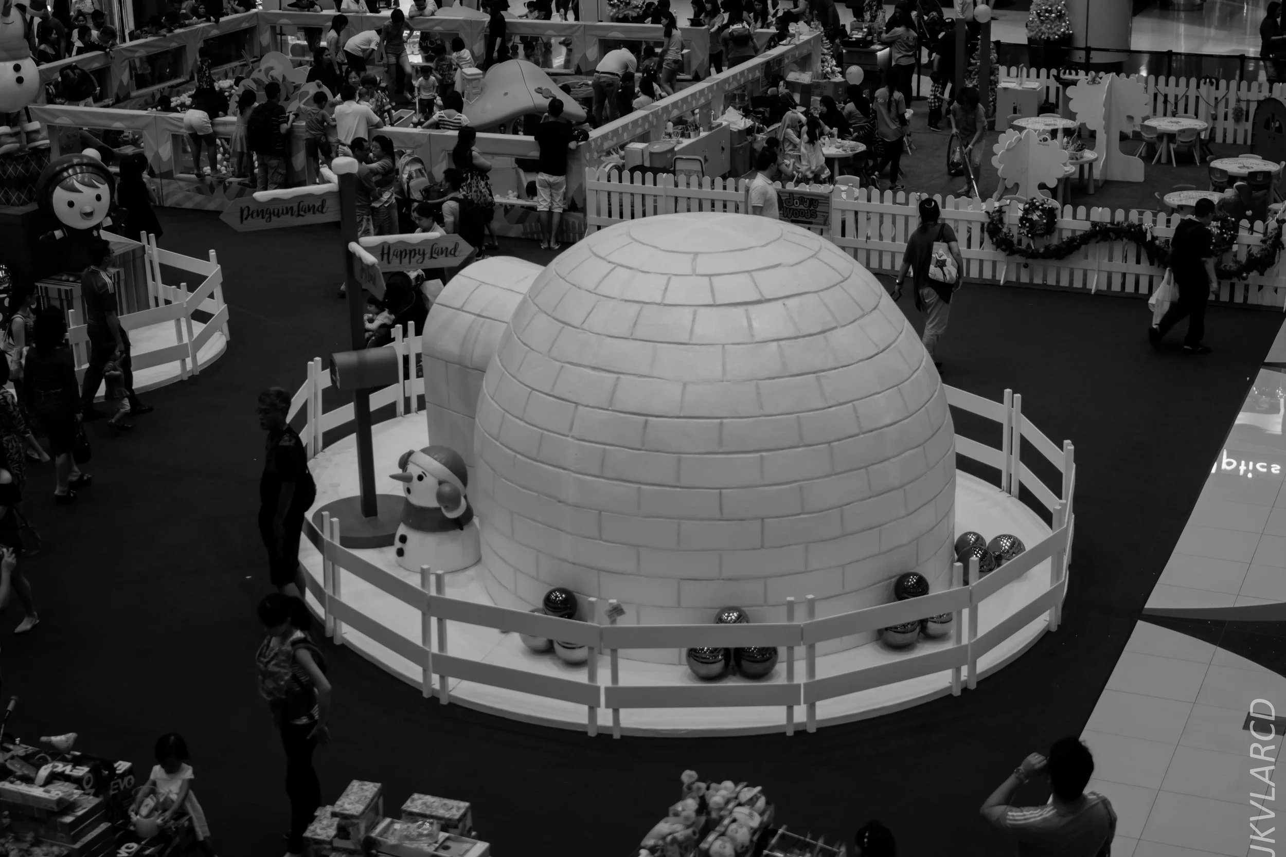 EOS 7D Mark II_2017_12_16_3182.jpg