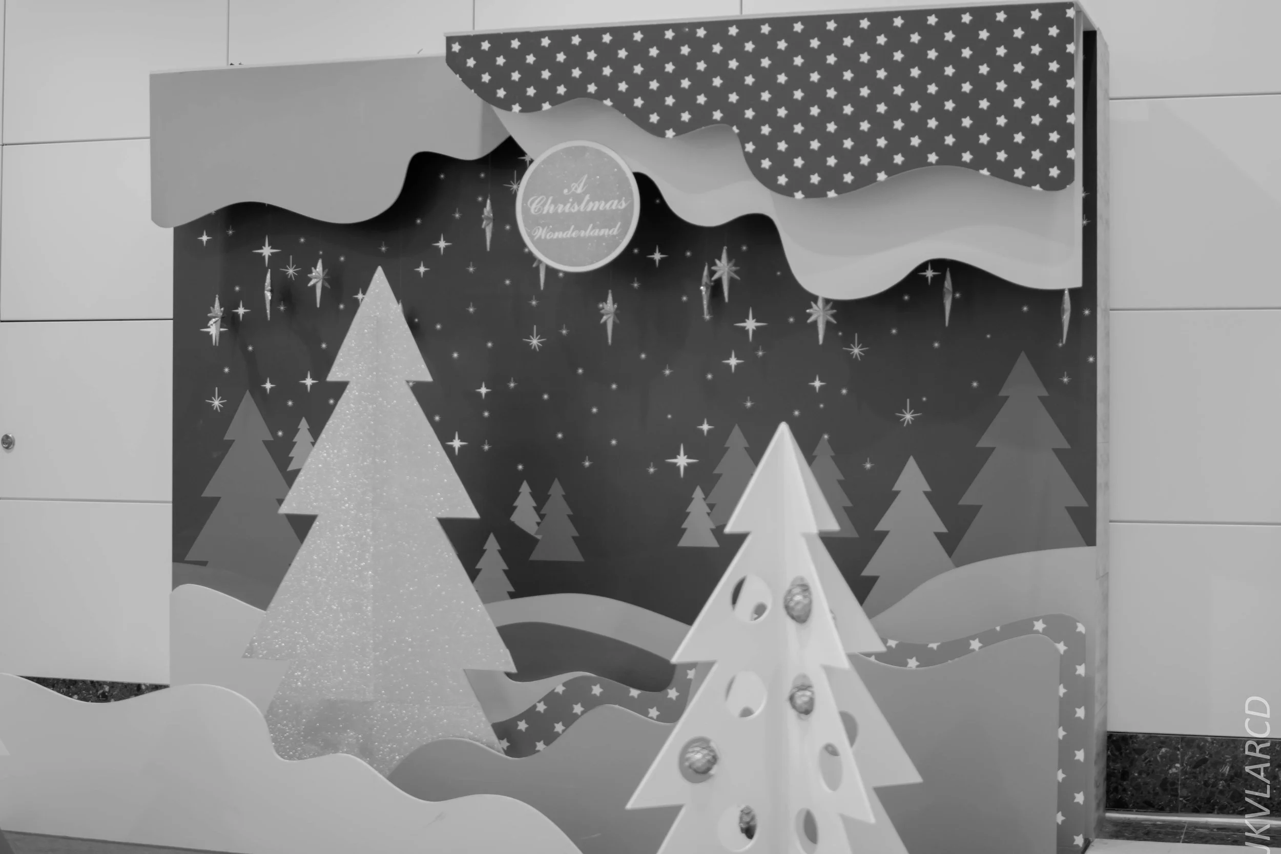 EOS 7D Mark II_2017_12_16_3187.jpg