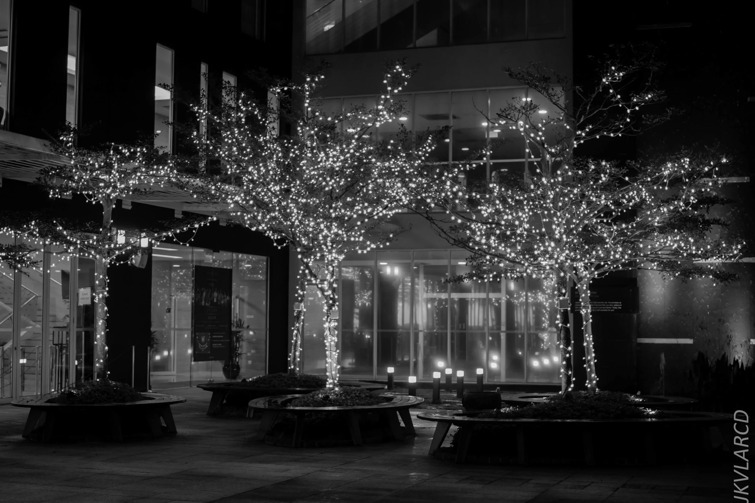 EOS 7D Mark II_2017_12_22_3205-2.jpg