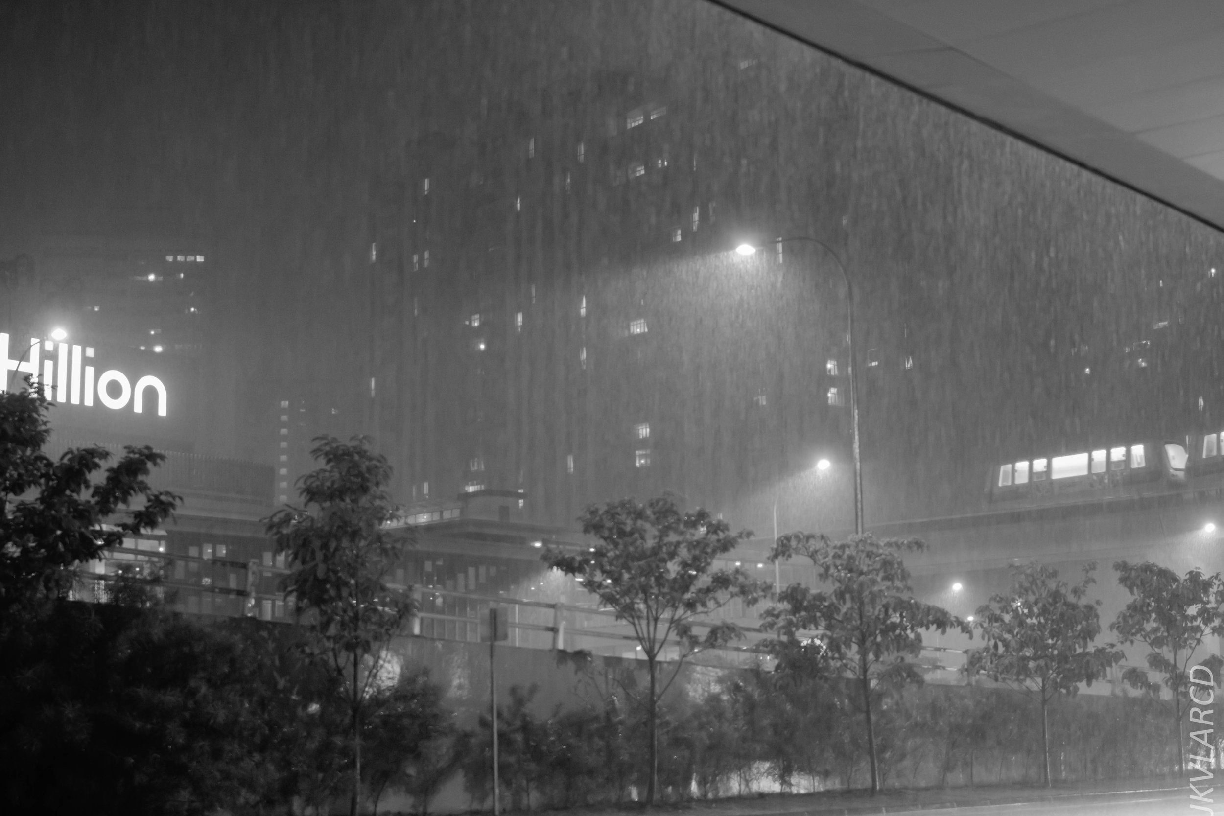 EOS 7D Mark II_2017_12_22_3207-2.jpg