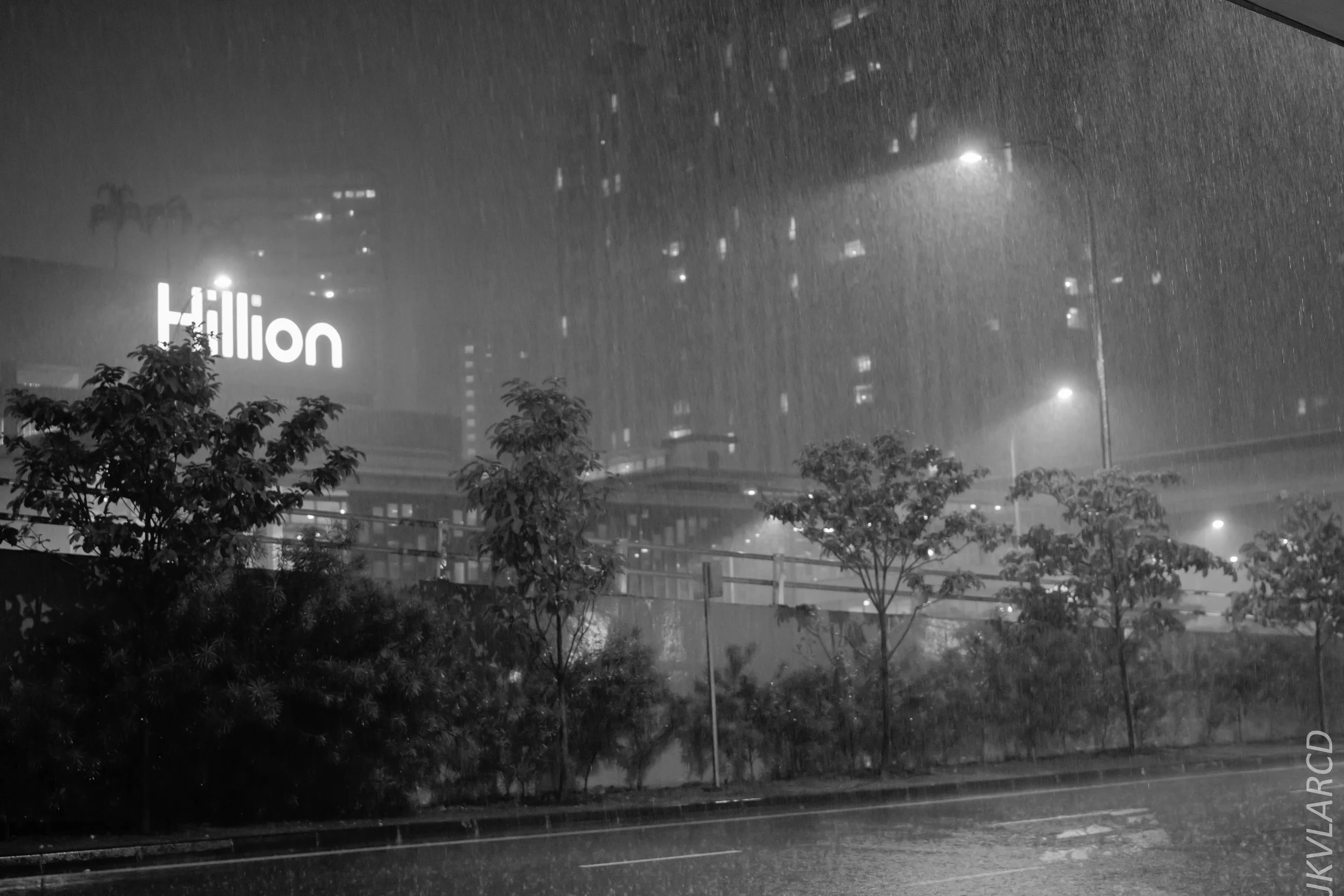 EOS 7D Mark II_2017_12_22_3209-2.jpg