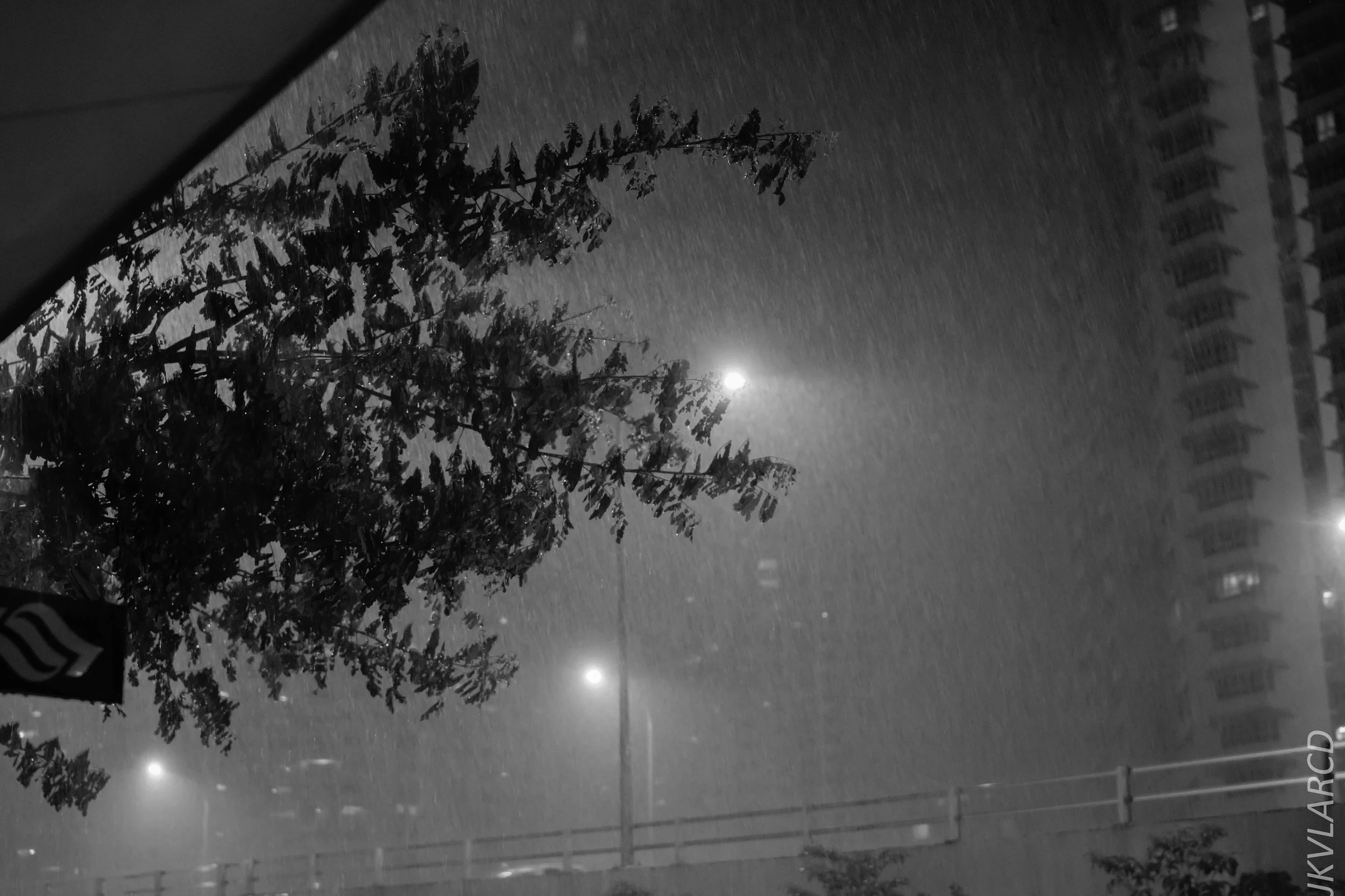 EOS 7D Mark II_2017_12_22_3211-2.jpg