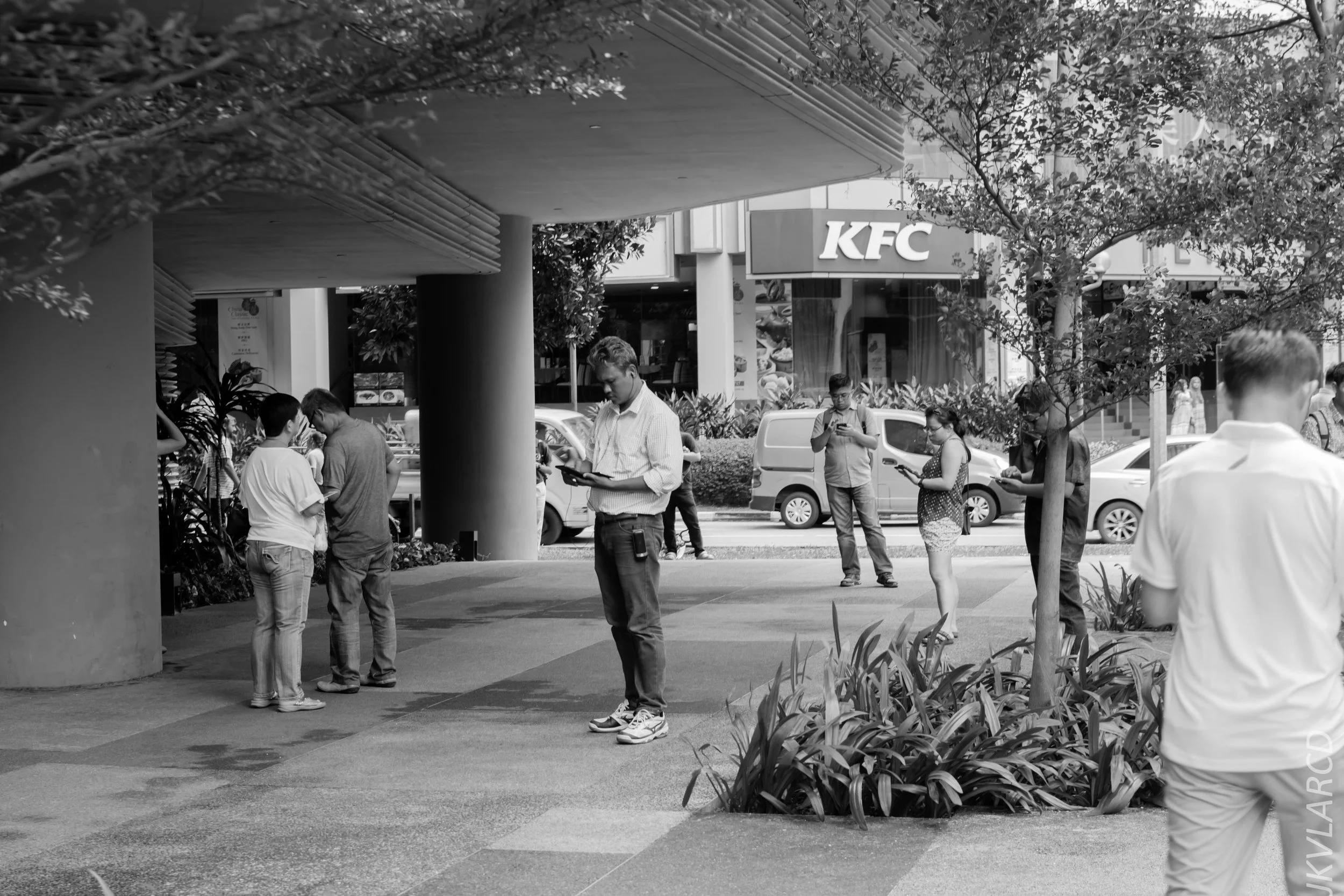 EOS 7D Mark II_2017_12_29_3488.jpg