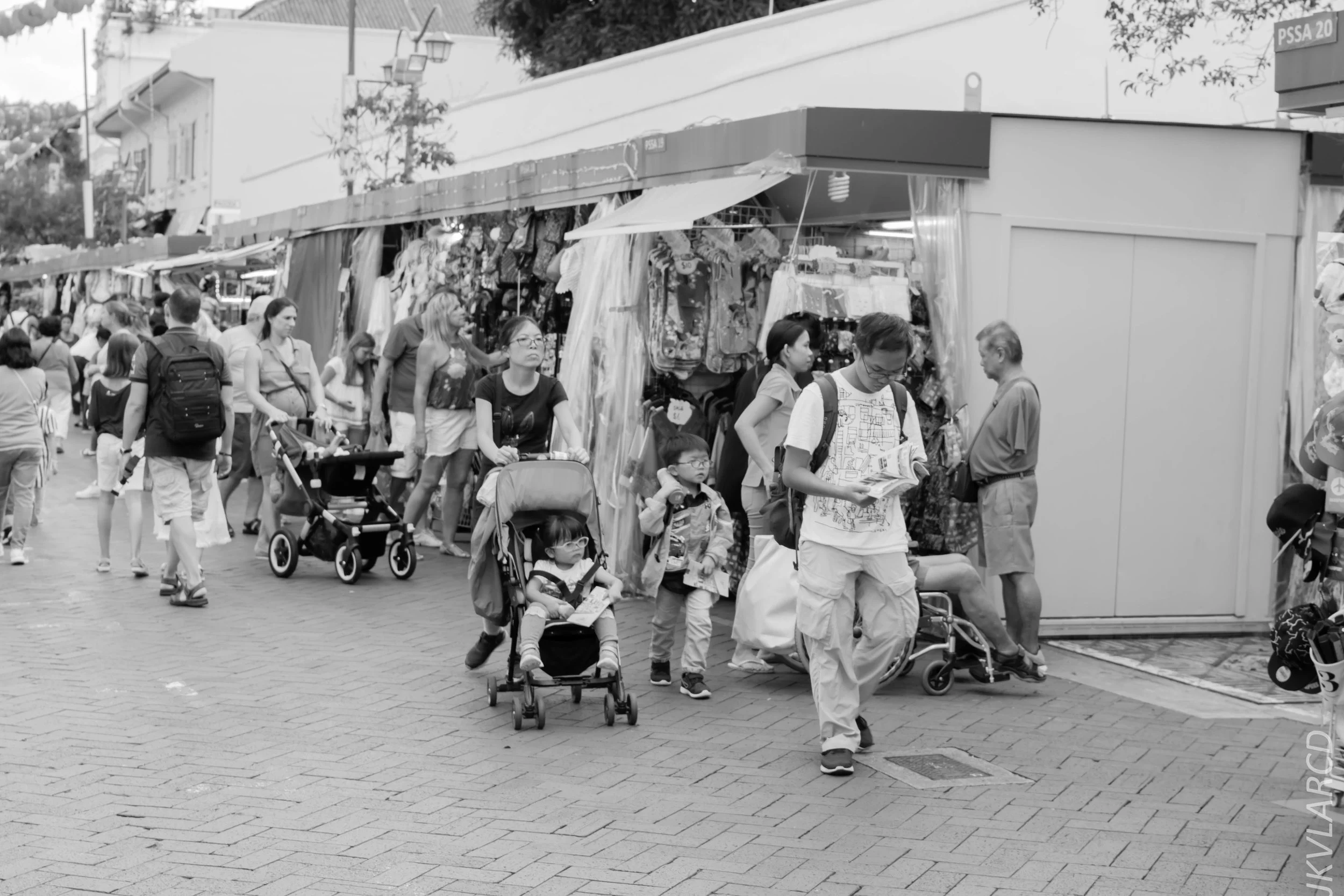 EOS 7D Mark II_2017_12_29_3515.jpg