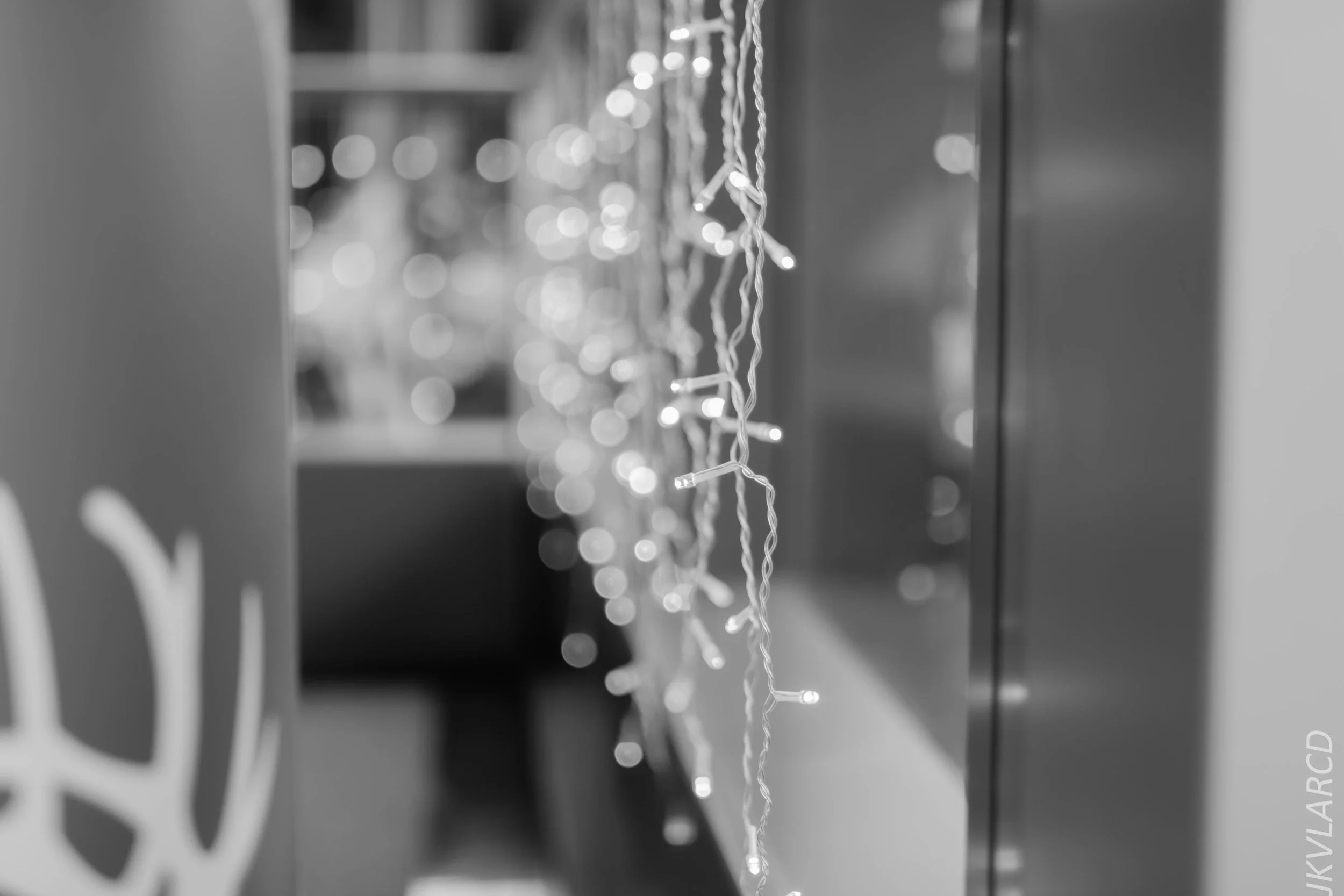 EOS 7D Mark II_2017_12_29_3582.jpg