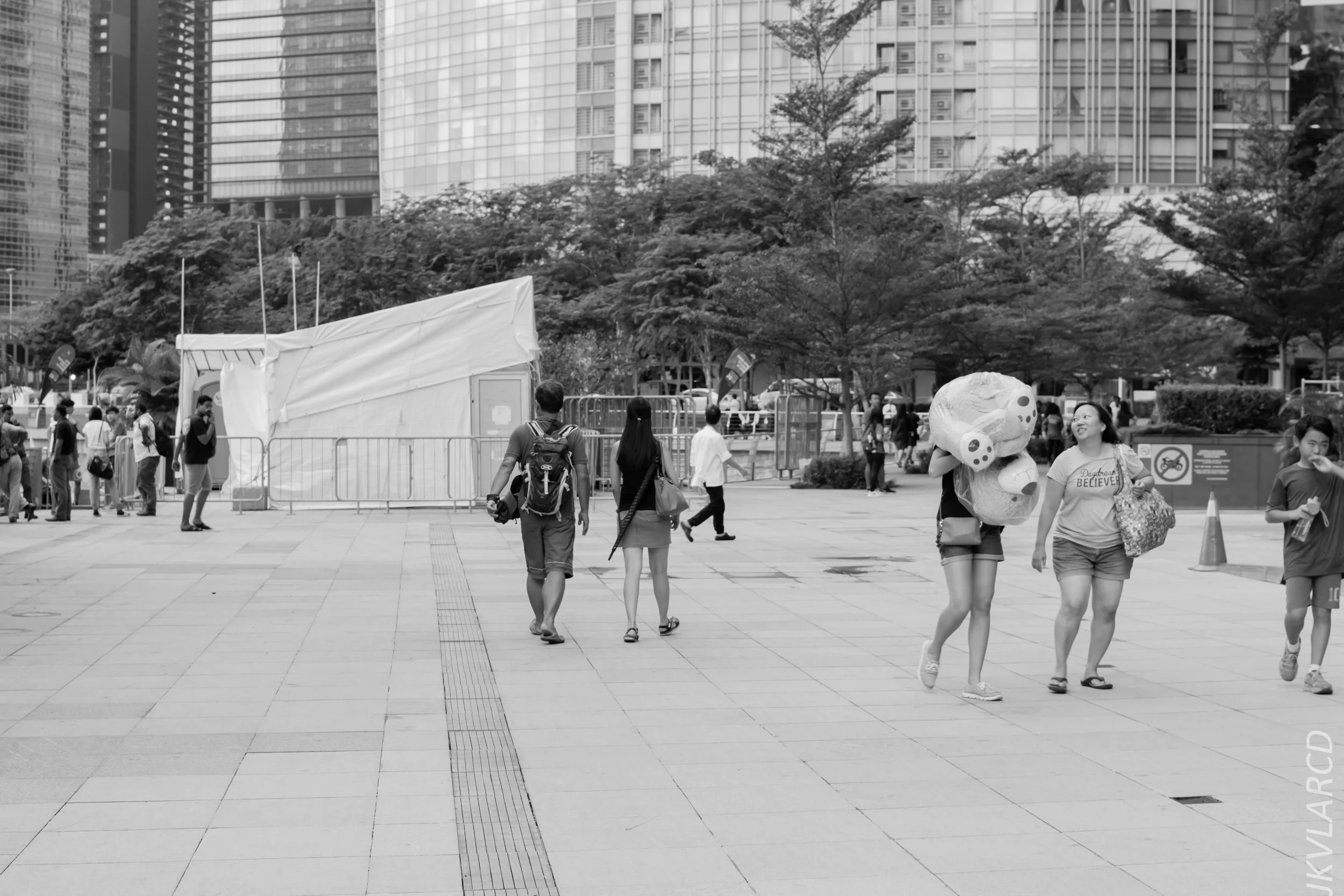 EOS 7D Mark II_2017_12_29_3586.jpg