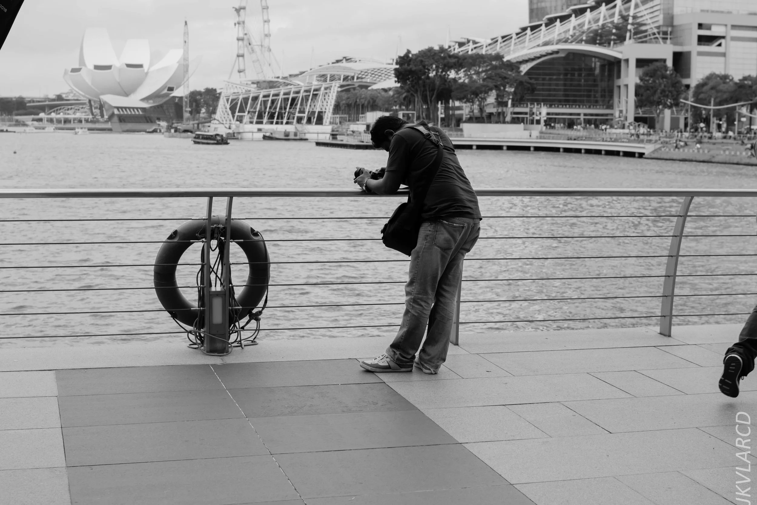 EOS 7D Mark II_2017_12_29_3595.jpg