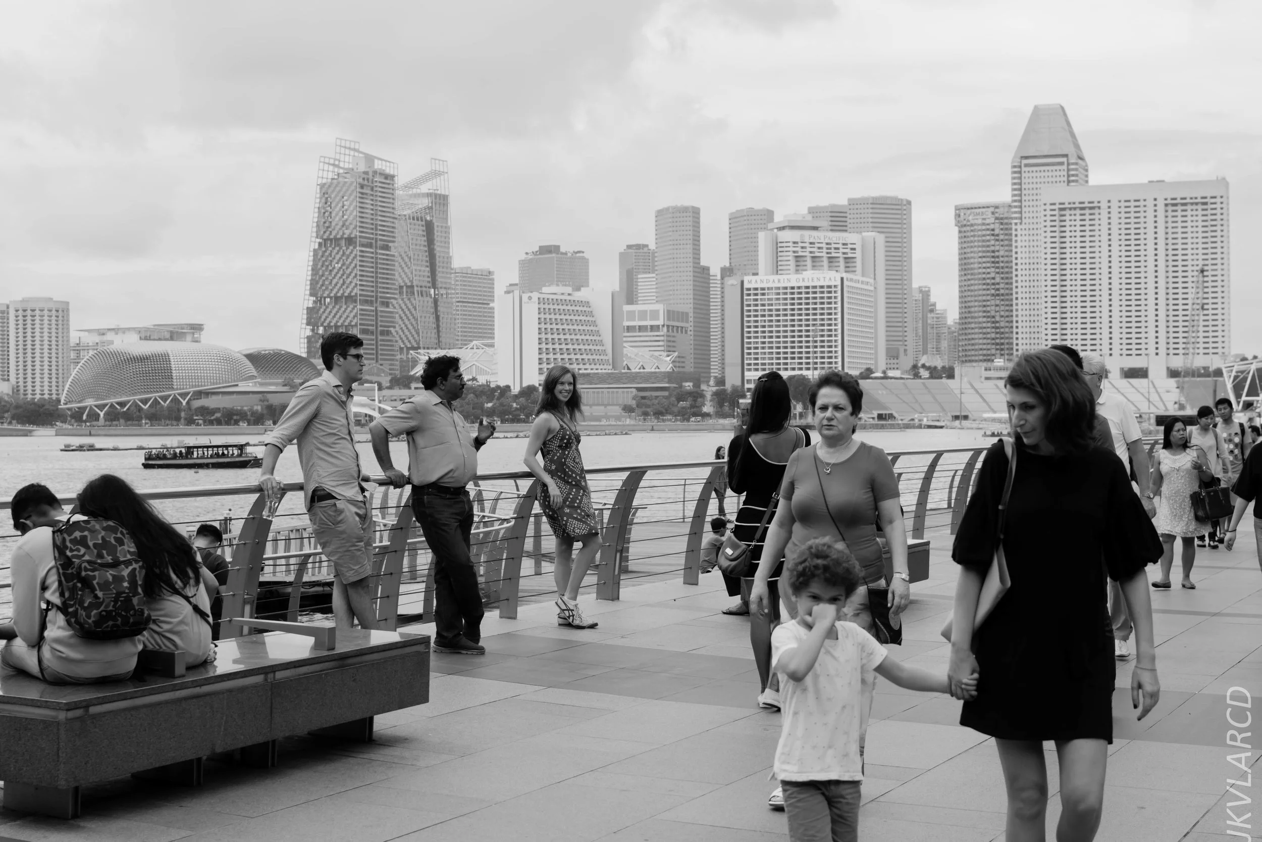 EOS 7D Mark II_2017_12_29_3597.jpg