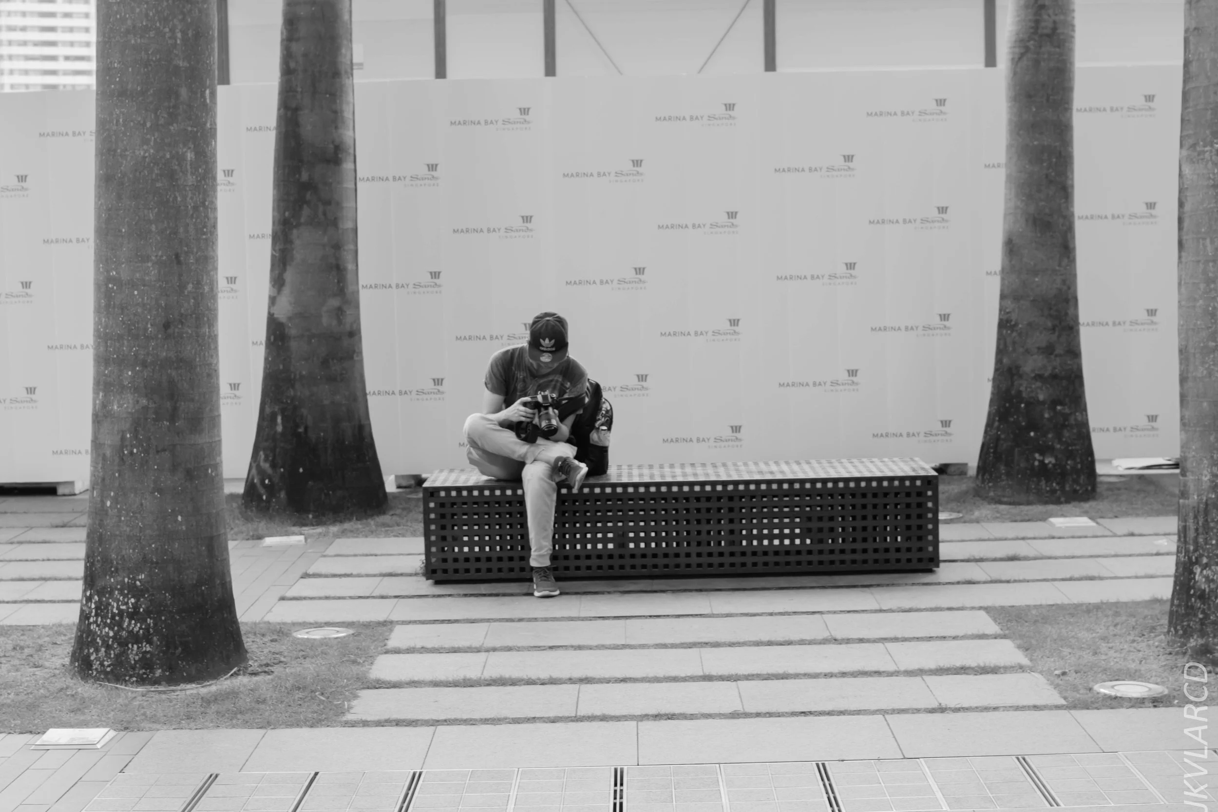 EOS 7D Mark II_2017_12_29_3605.jpg