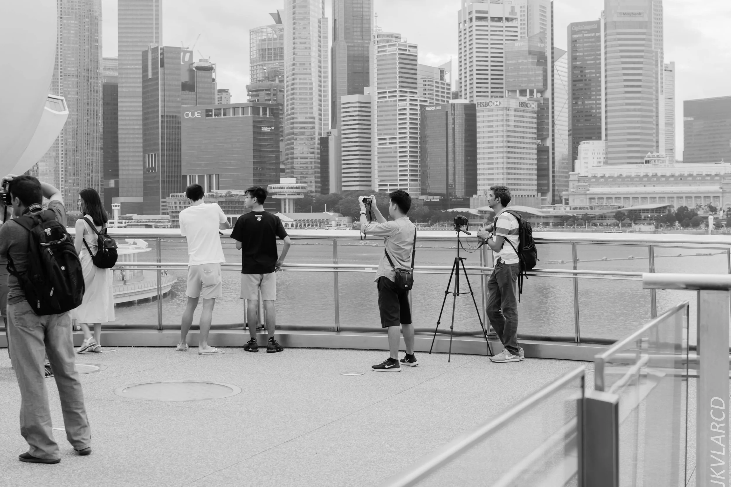 EOS 7D Mark II_2017_12_29_3619.jpg