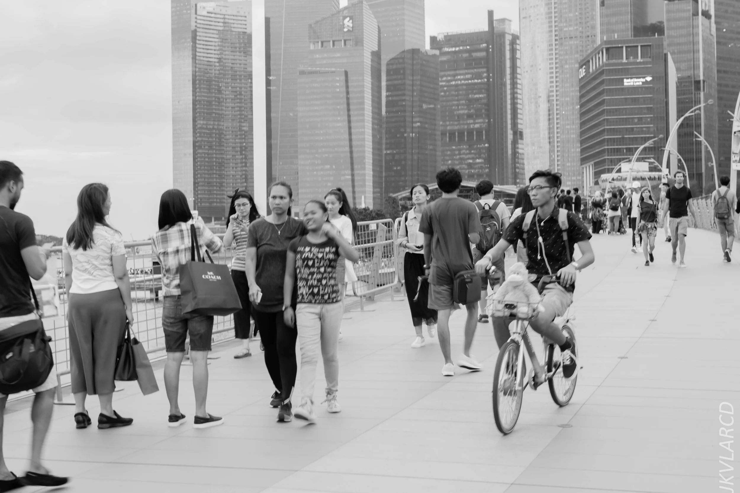 EOS 7D Mark II_2017_12_29_3641.jpg