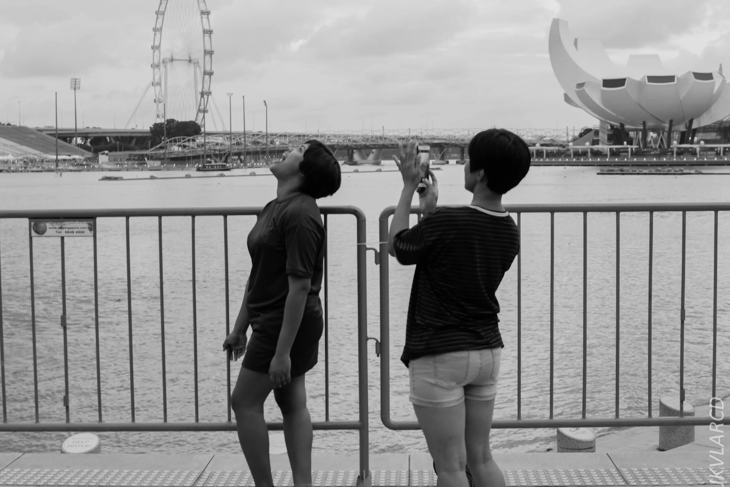 EOS 7D Mark II_2017_12_29_3648.jpg