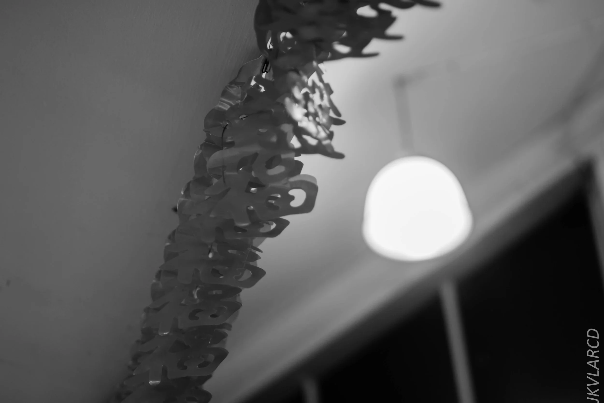 EOS 7D Mark II_2018_01_06_4094.jpg