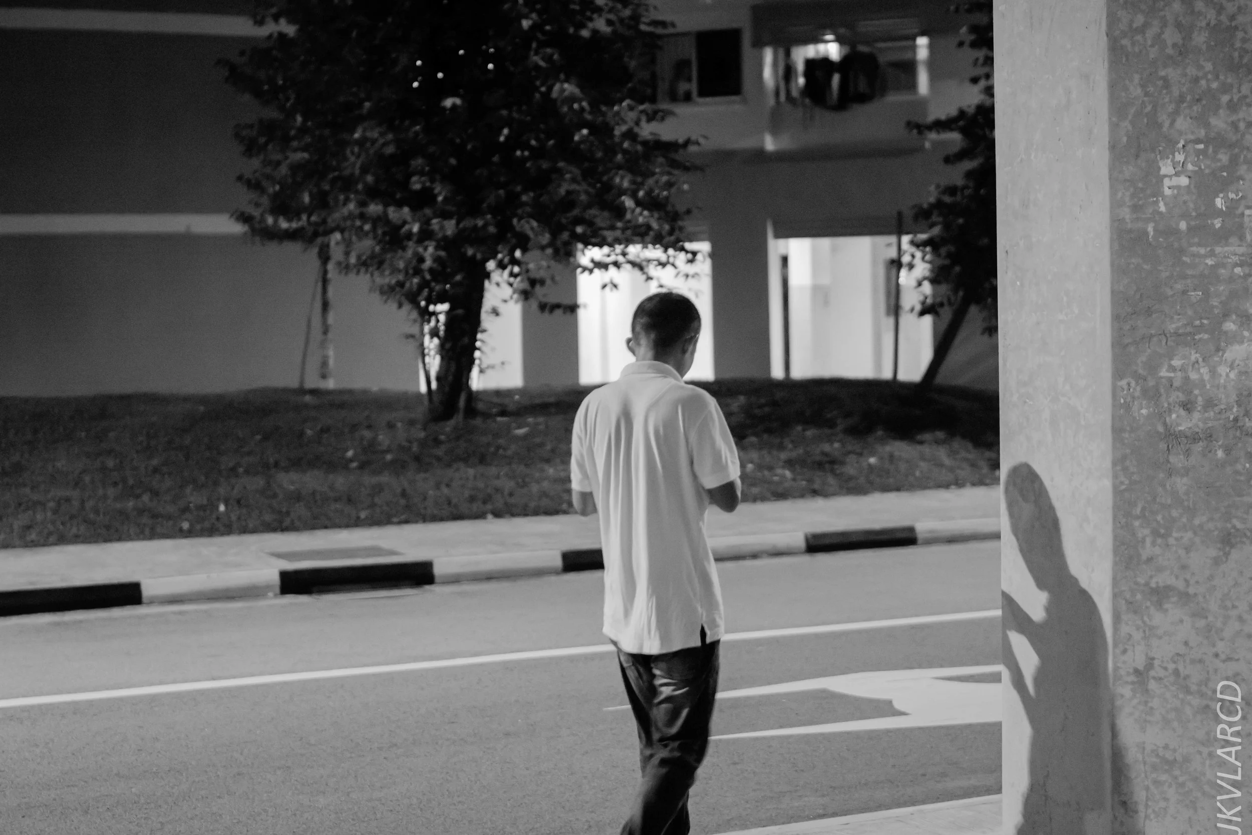 EOS 7D Mark II_2018_01_06_4097.jpg