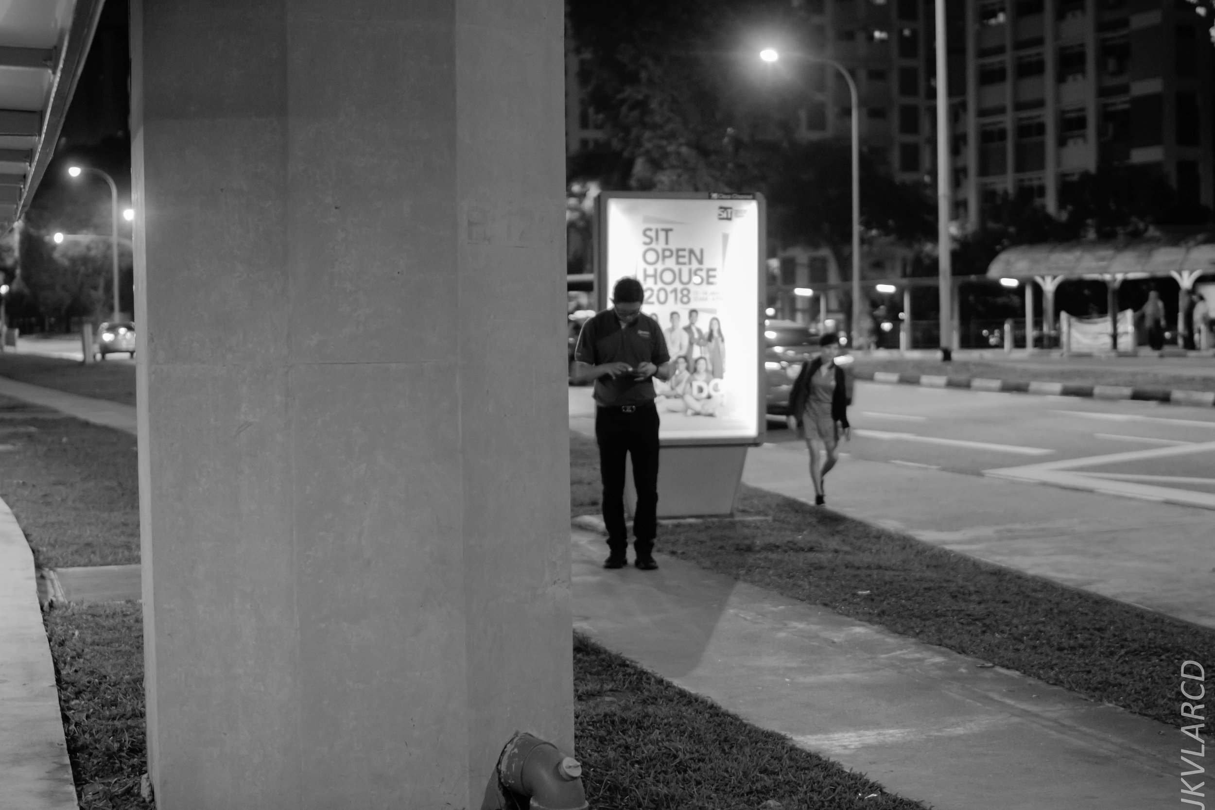 EOS 7D Mark II_2018_01_06_4100.jpg