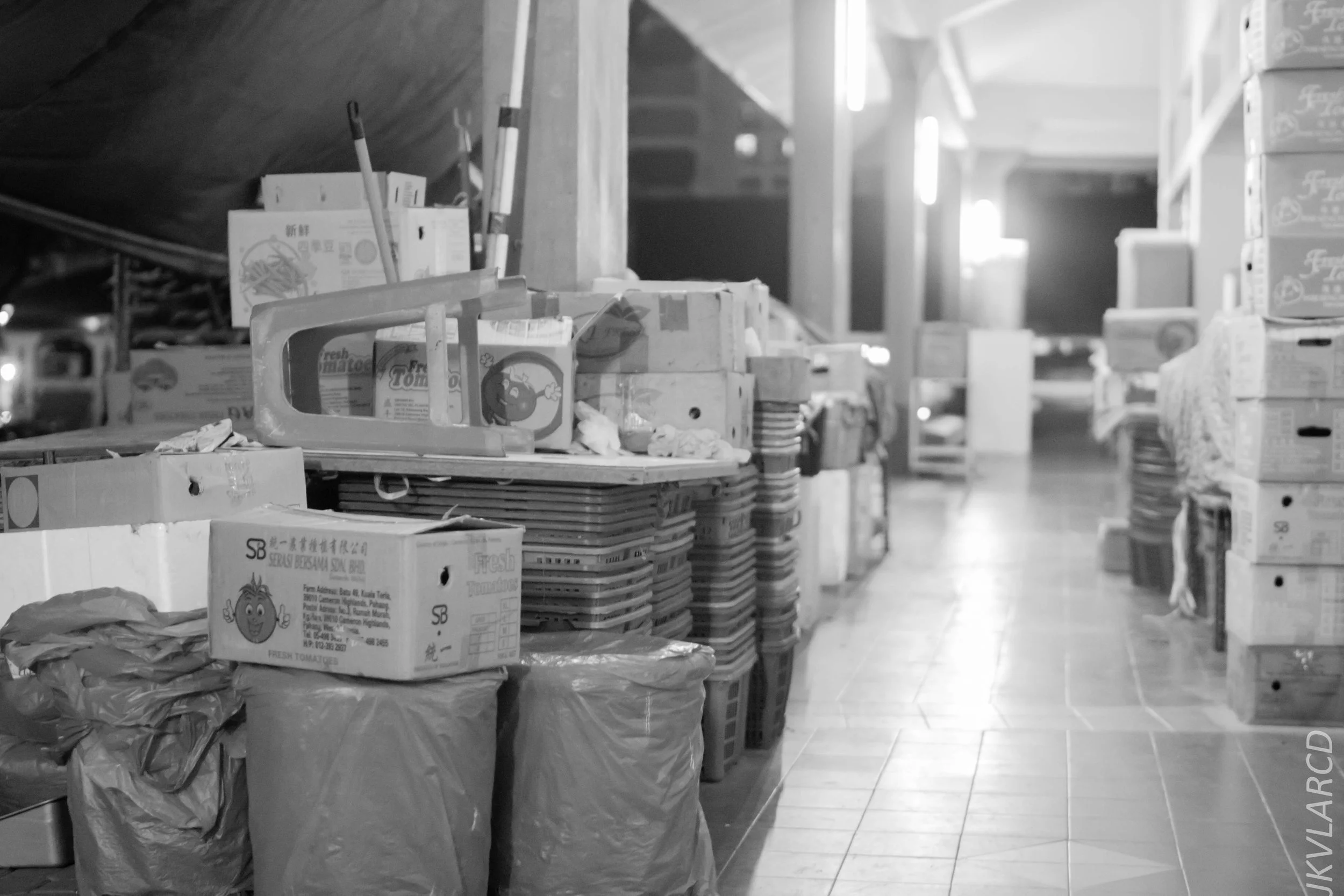 EOS 7D Mark II_2018_01_06_4106.jpg