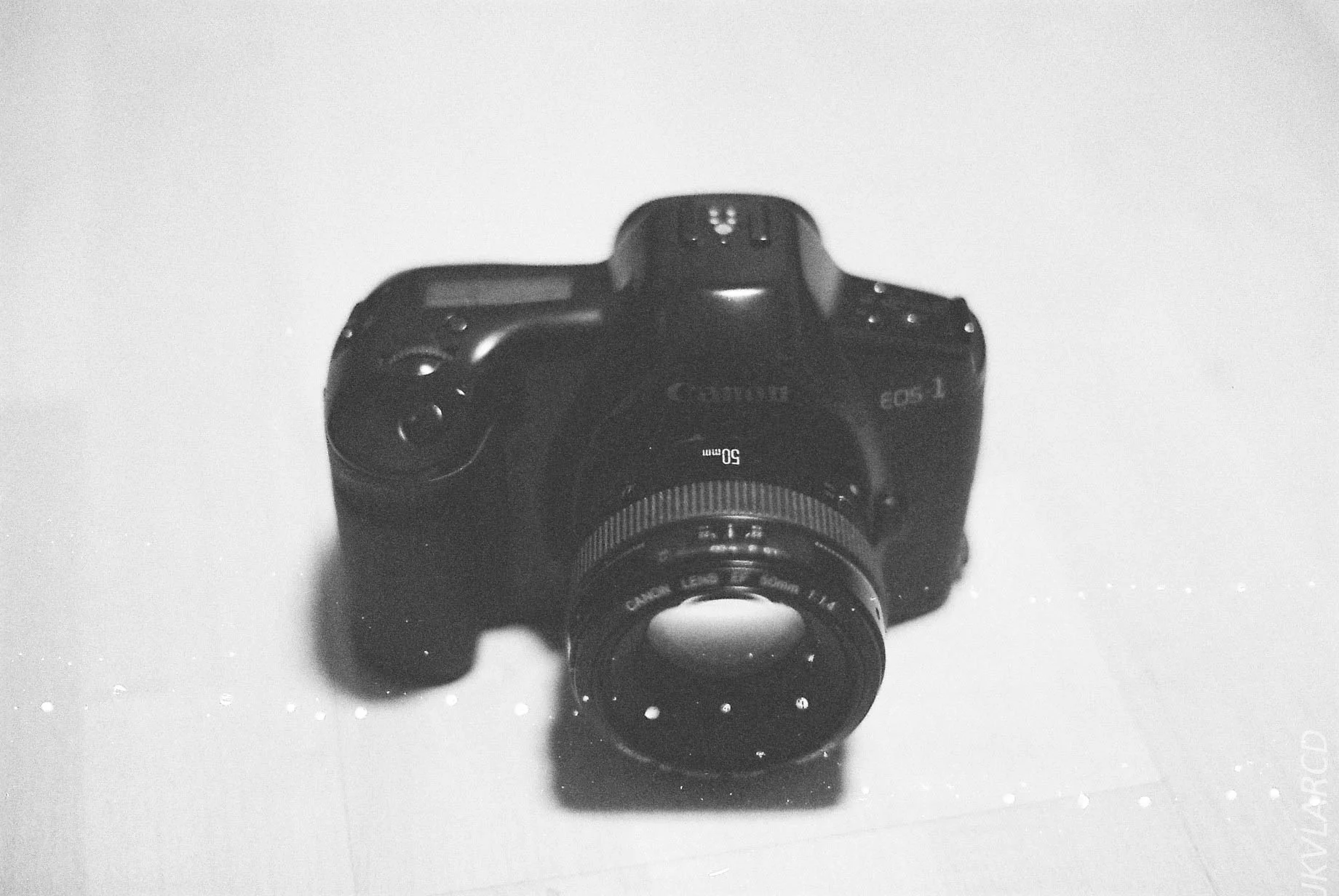 F1020023-2.jpg